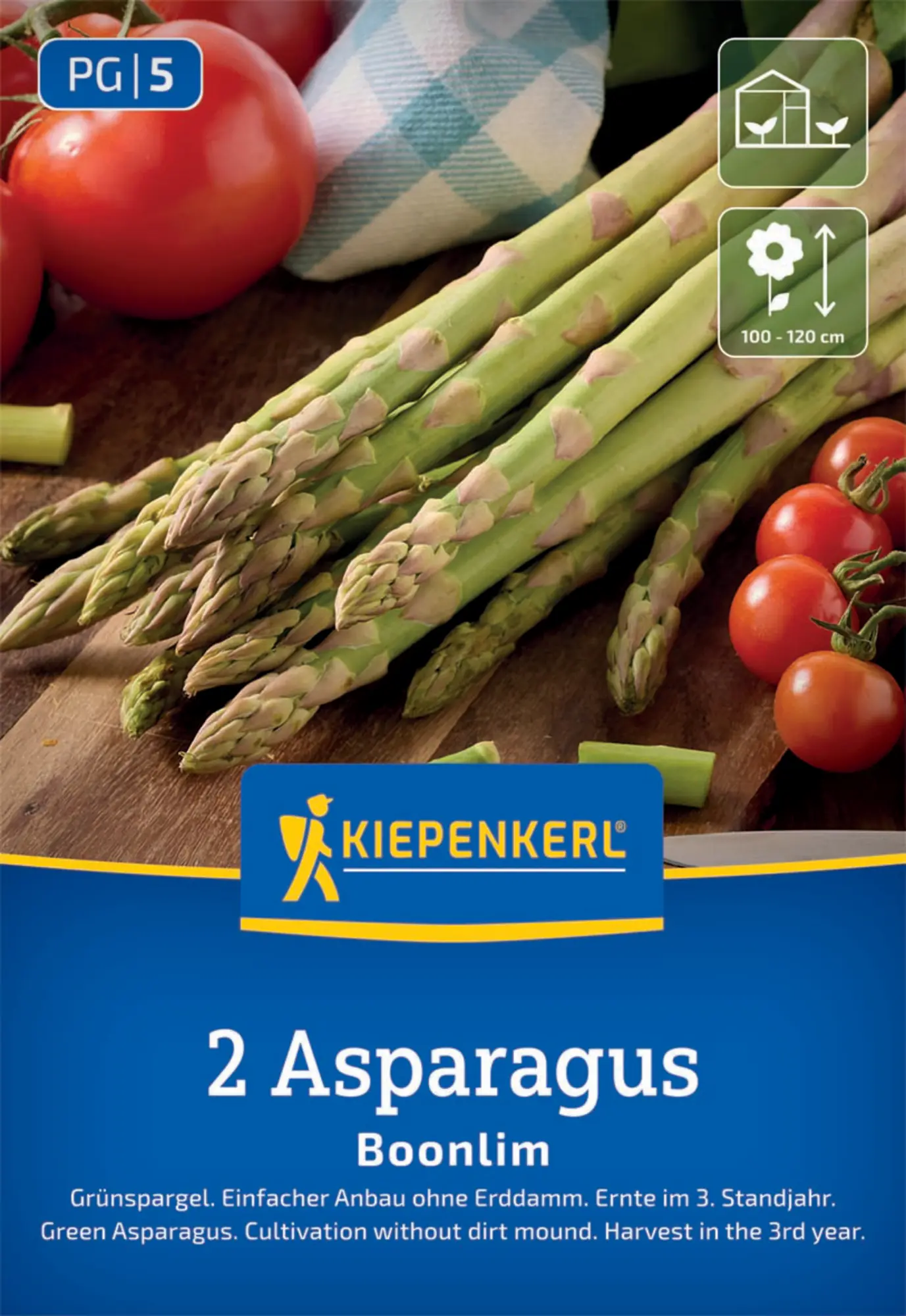 Kiepenkerl Pflanzgut Grünspargel Boonlim Asparagus officinalis 1 Stück