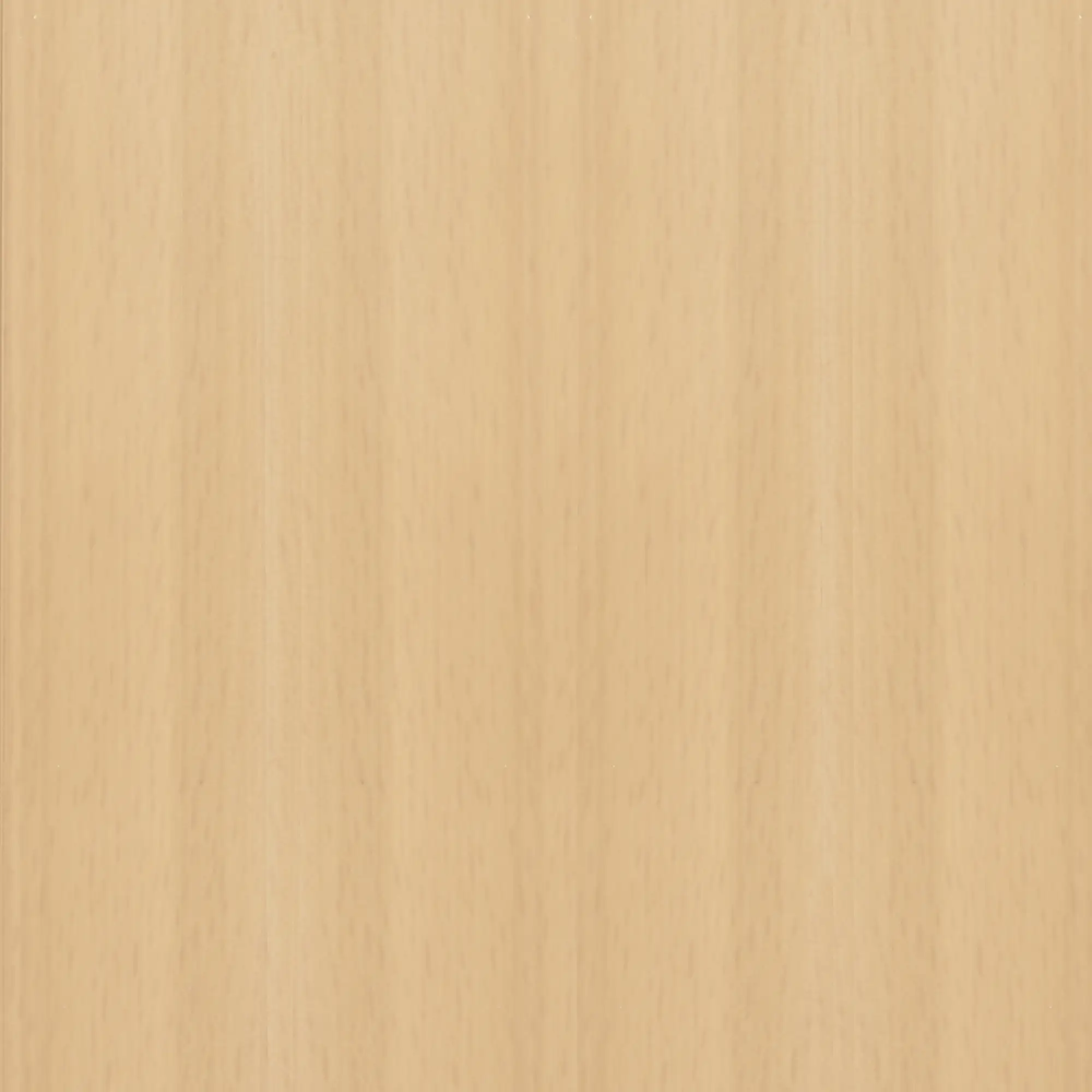 FN Neuhofer Klemmsockelleiste 250 cm 50 x 22,5 mm Buche