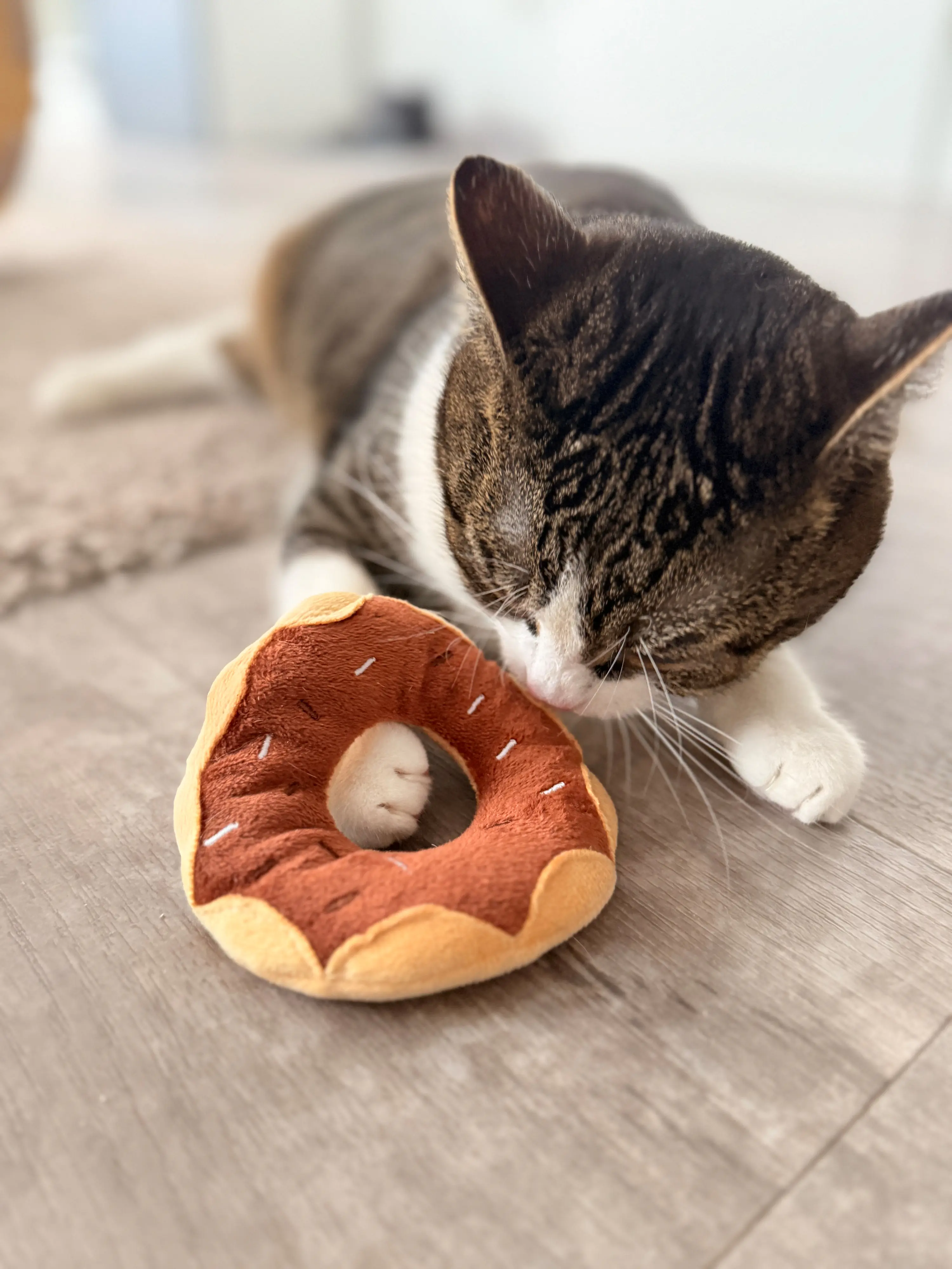 Aumüller Katzenspielzeug Donut Schoko Ø 11 x 3,5 cm braun