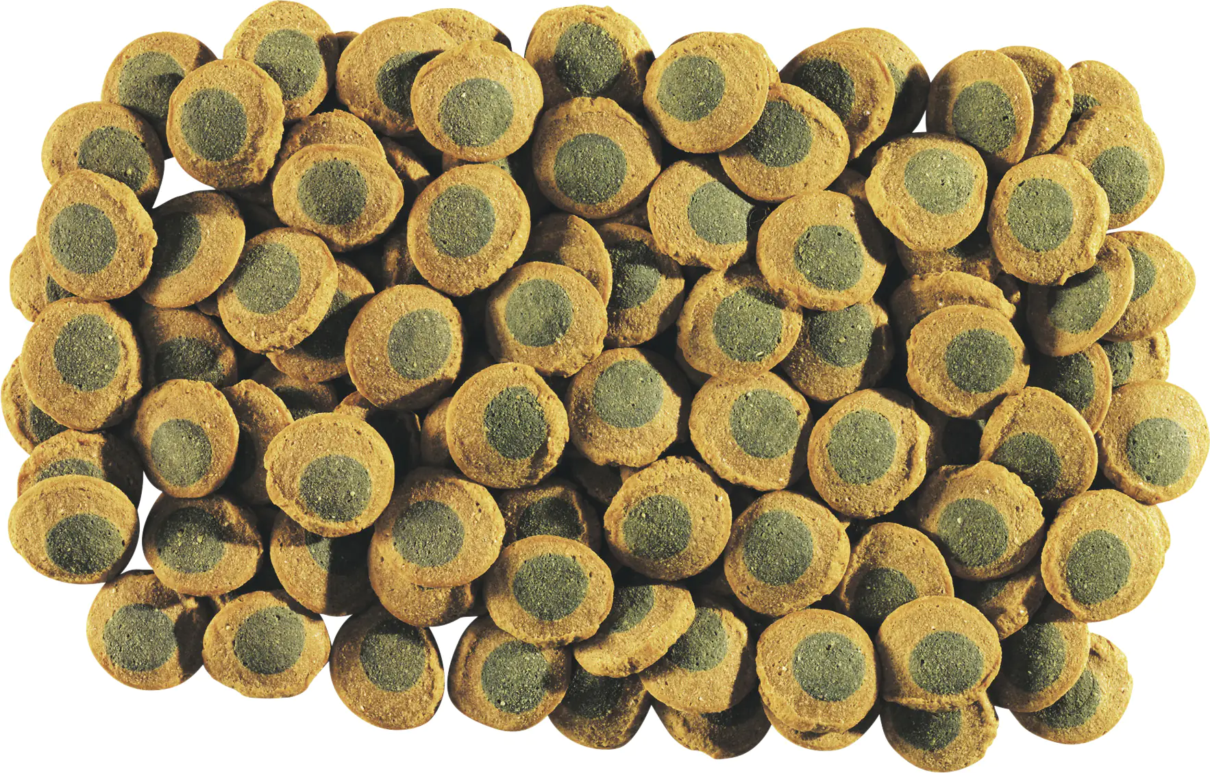 Tetra Pleco Algae Wafers 250 ml
