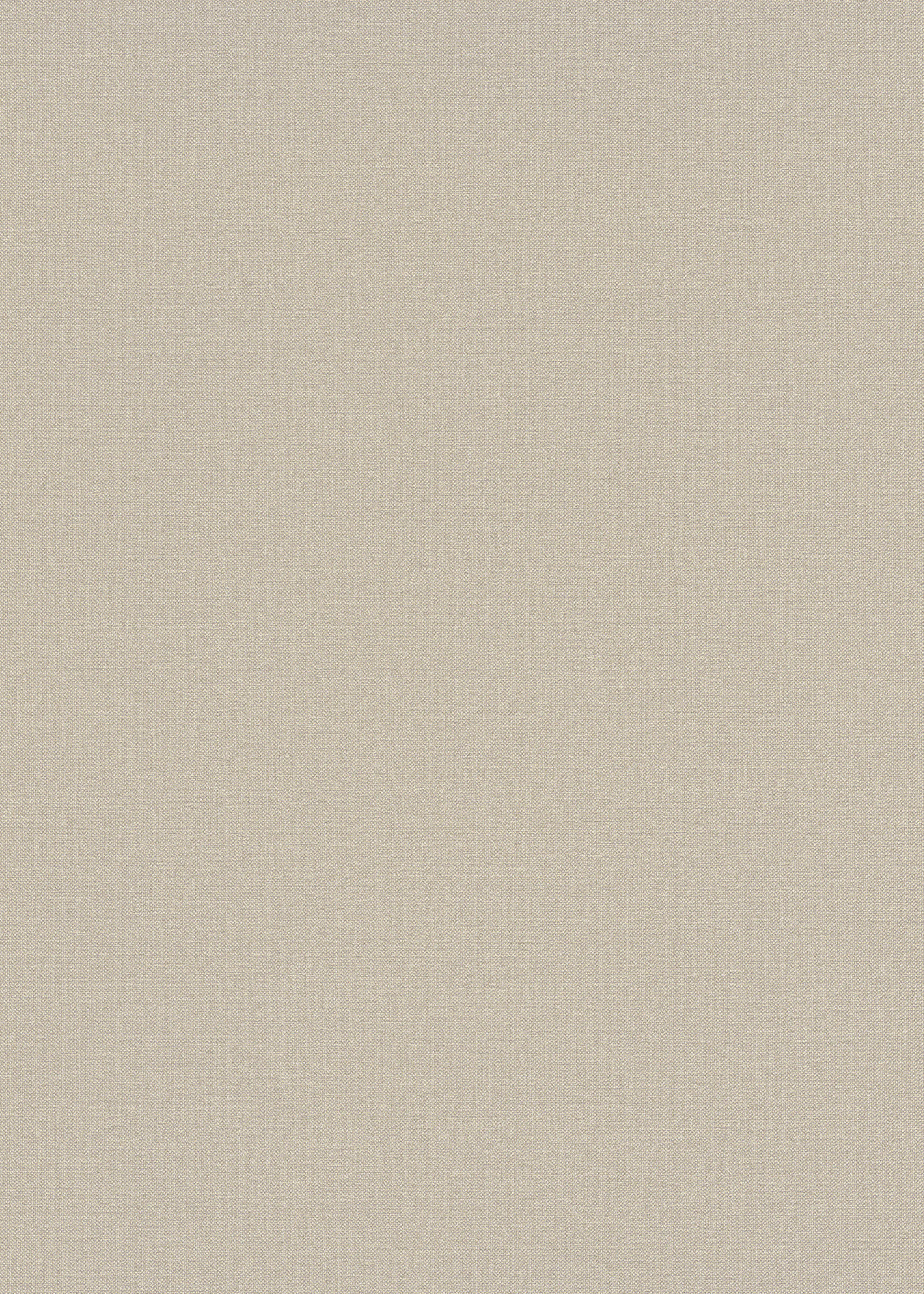 Erismann Vliestapete Uni beige 10,05 x 0,53 m