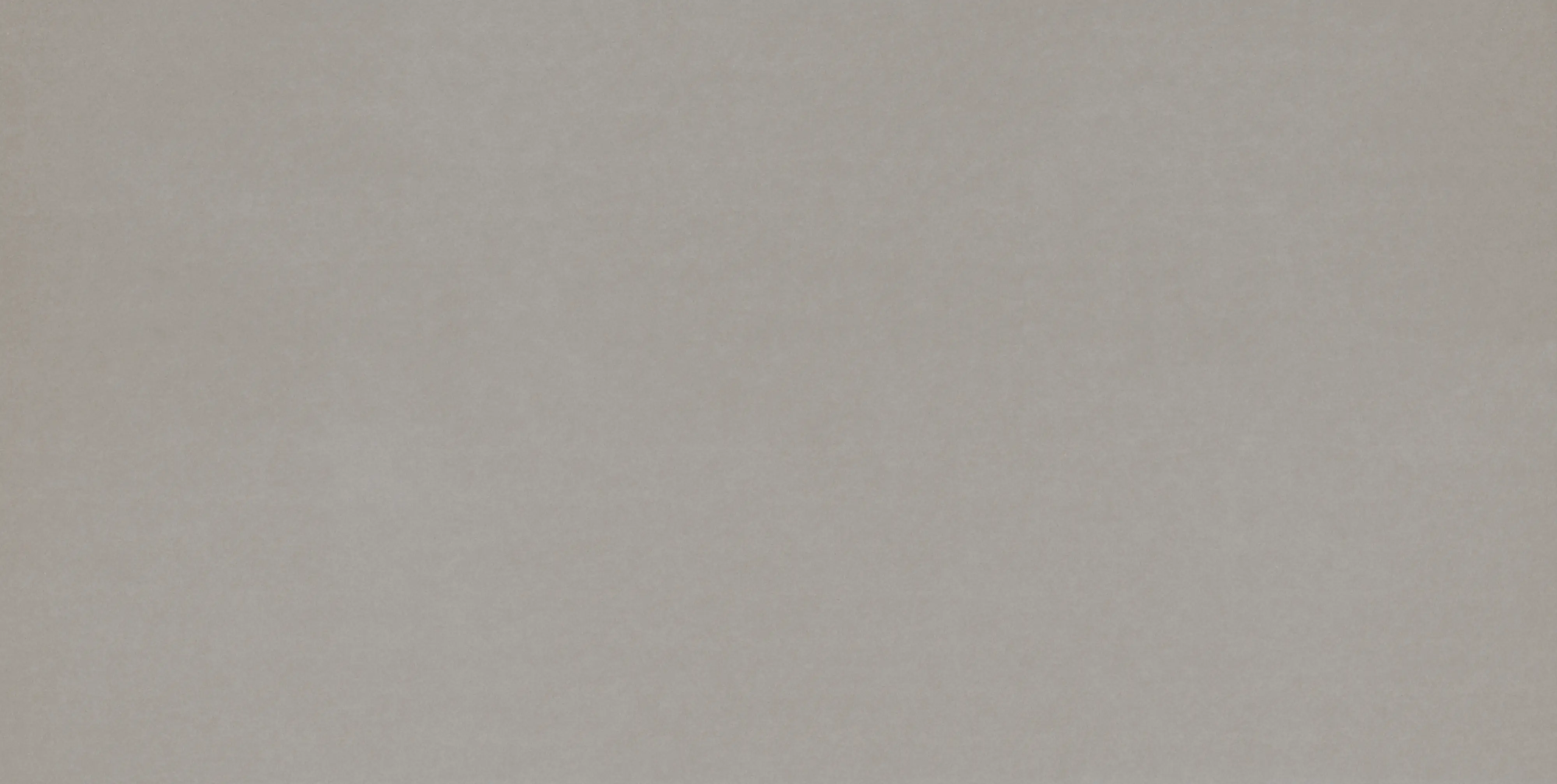 Bodenfliese Feinsteinzeug Promo 31 x 62 cm grau