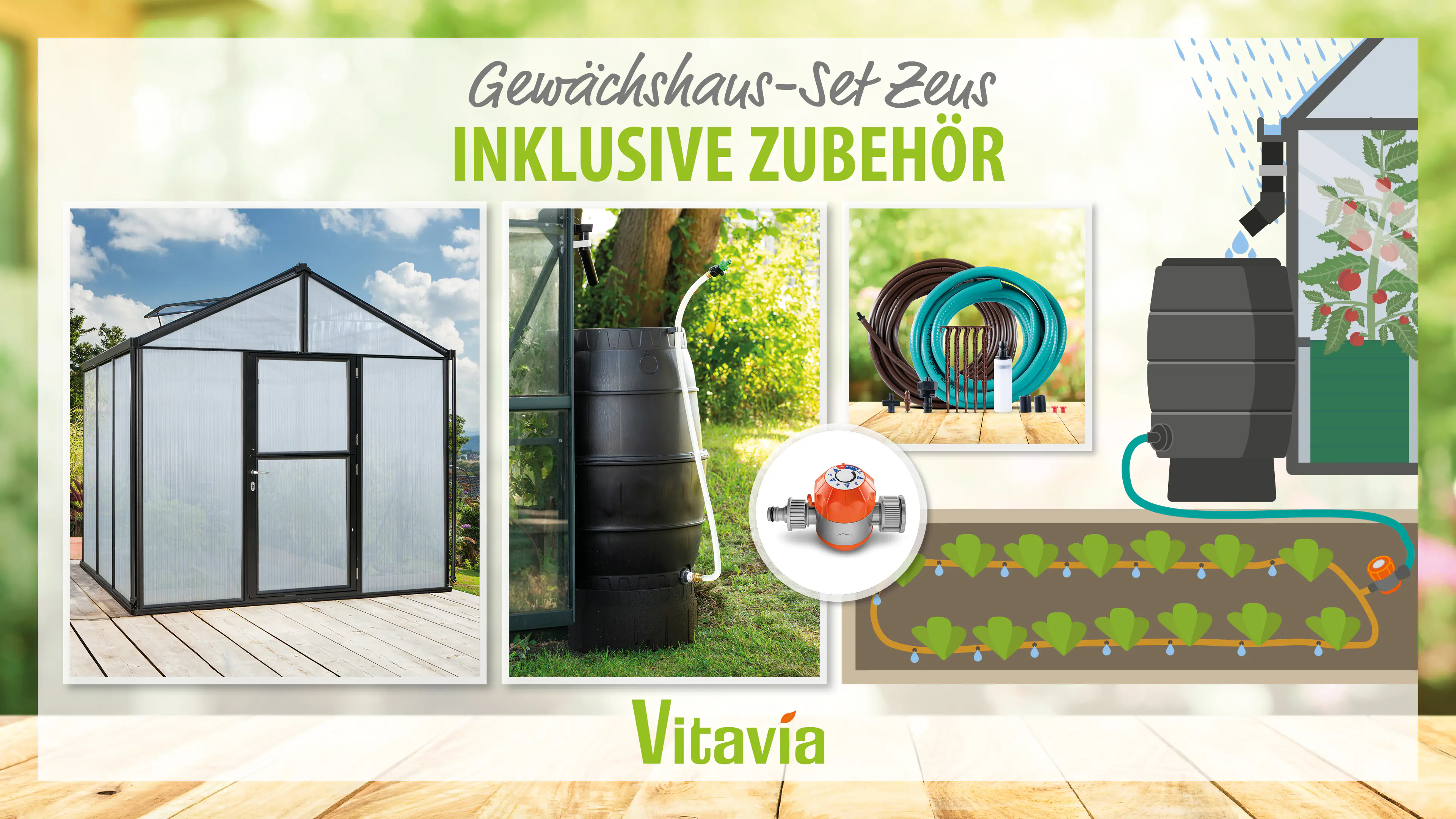 Vitavia Gewächshaus-Set Zeus 6200 HKP 10 mm schwarz 266 x 249 cm 