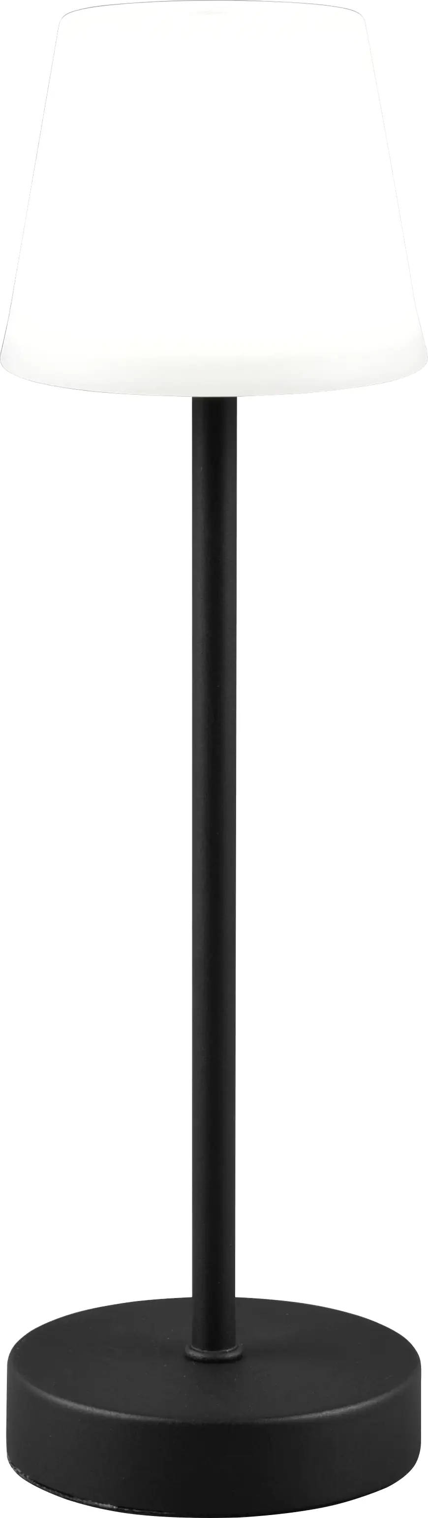 Reality Leuchten LED Akku-Tischleuchte Martinez schwarz 39 cm TW