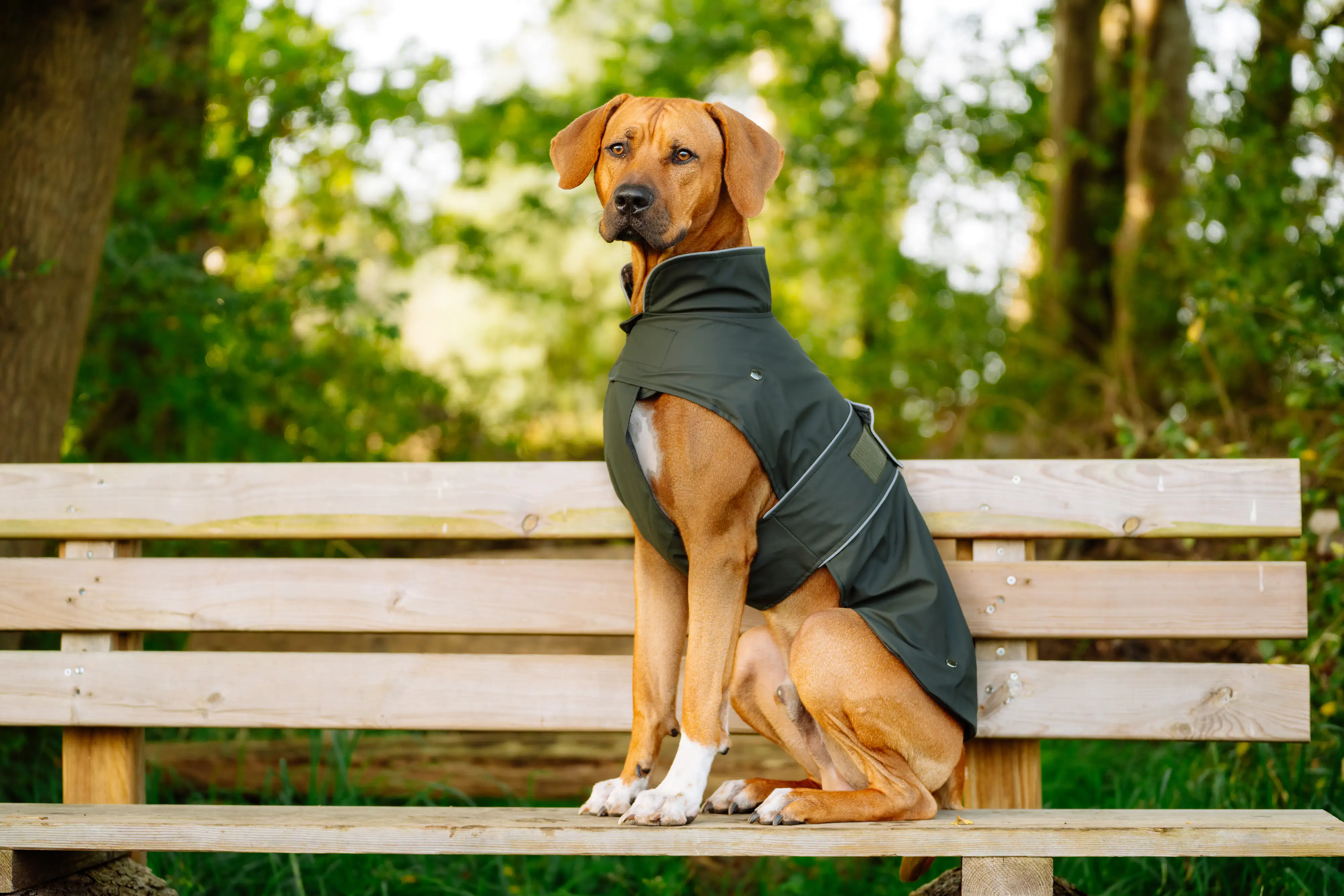 Nobby Hundemantel Sela dunkelgrün Nobby Hundemantel Sela dunkelgrün