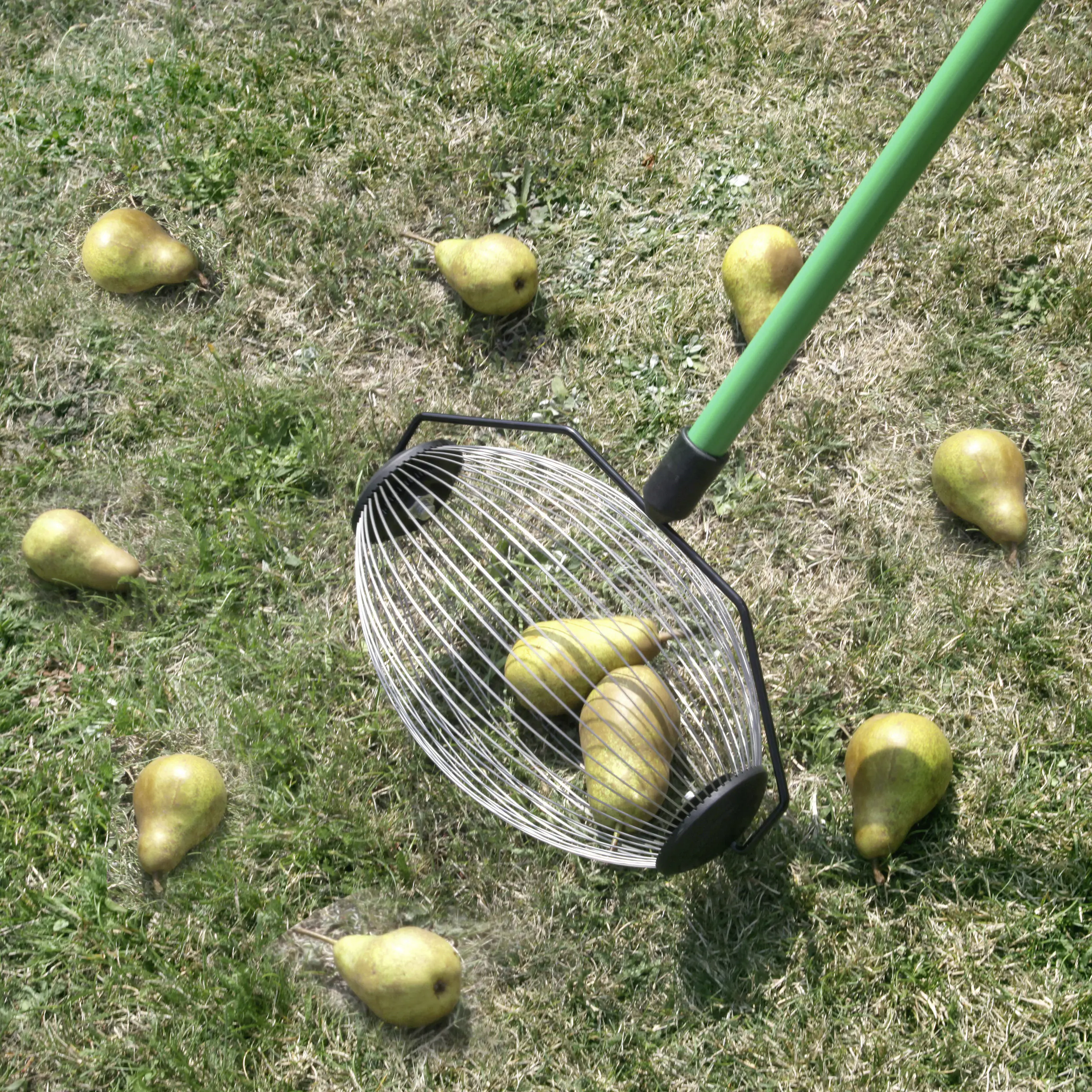 Obstpflücker Classic 100 x 30 cm inkl. Stiel Obstpflücker Classic 100 x 30 cm inkl. Stiel