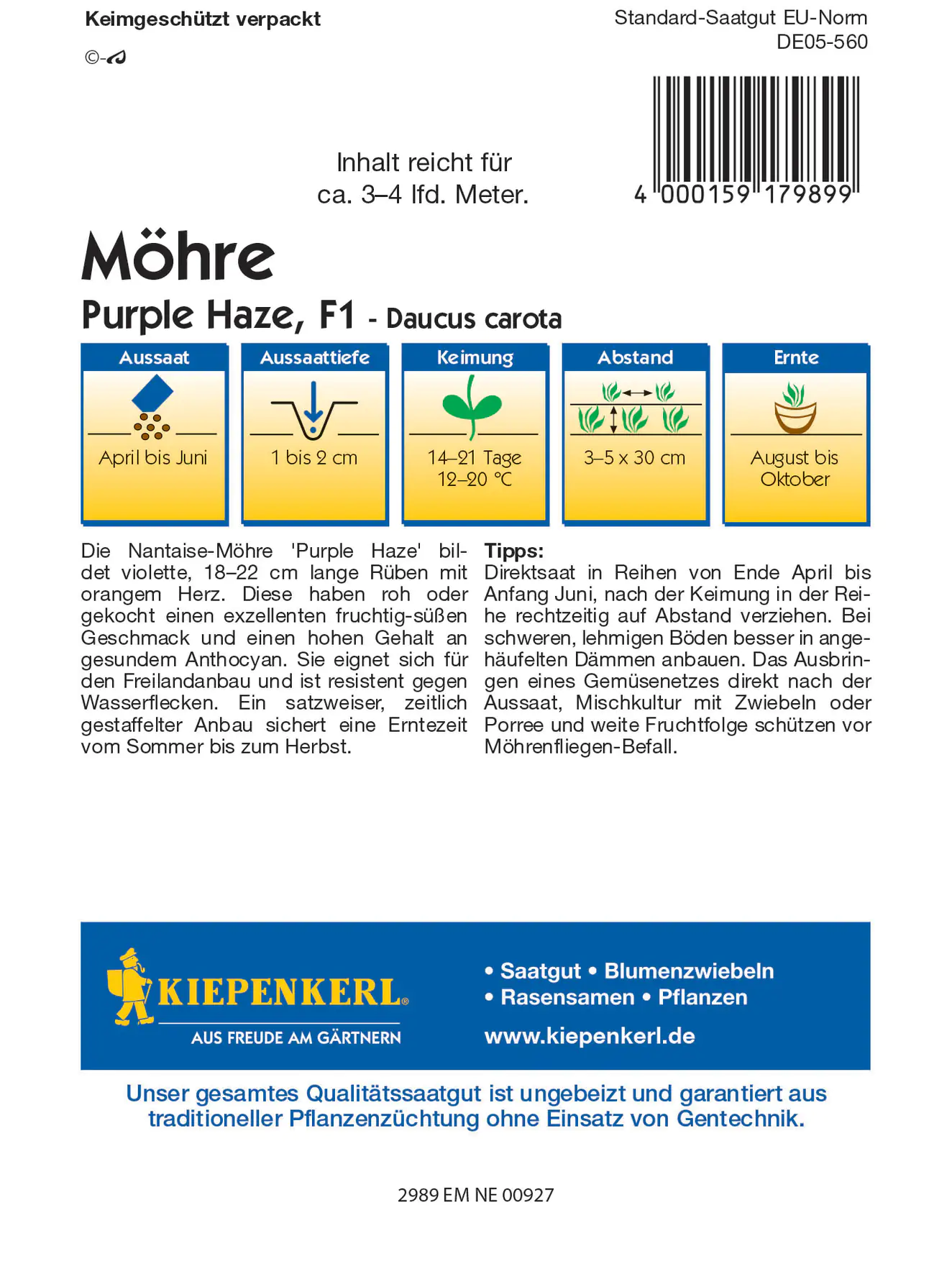 Kiepenkerl Möhre Purple Haze