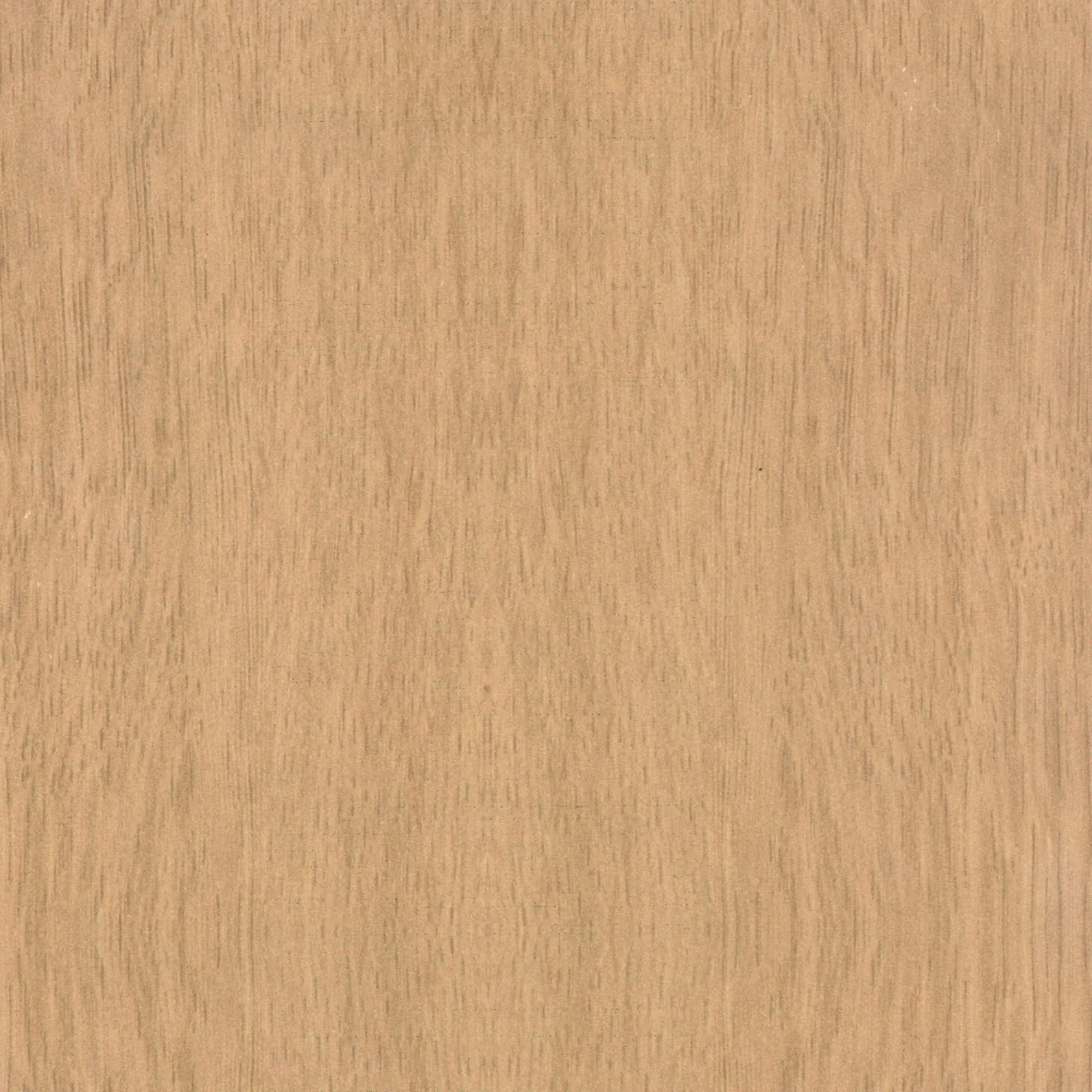 Neuhofer Fußleiste 240 cm x 58 x 19 mm eiche