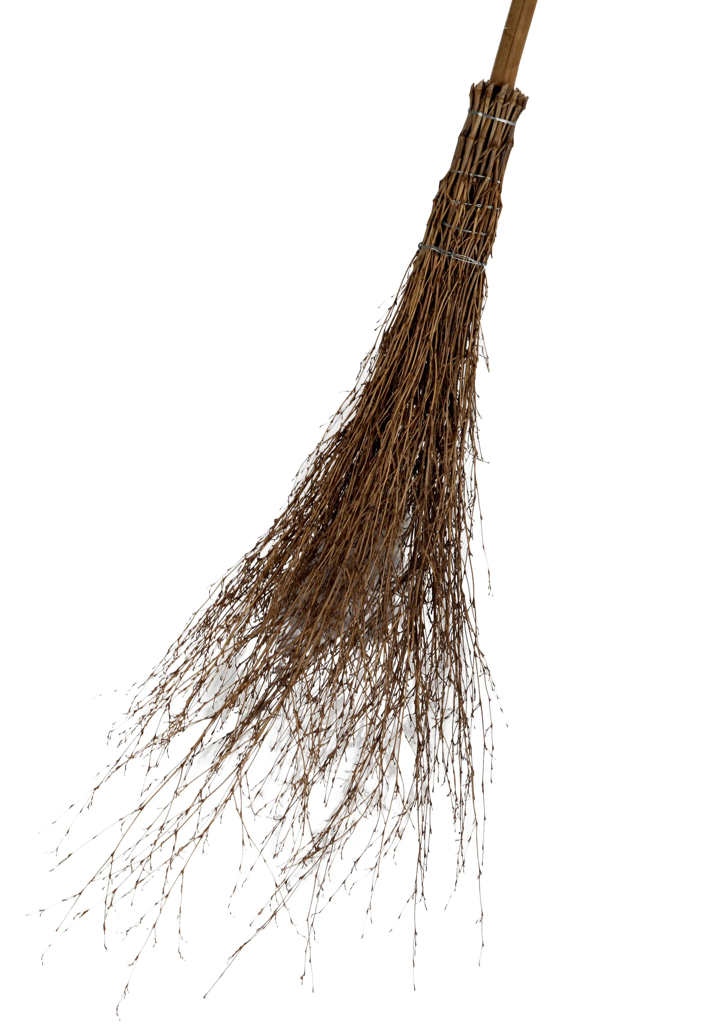 Floraworld Reisigbesen mit Stiel 25 cm Arbeitsbreite