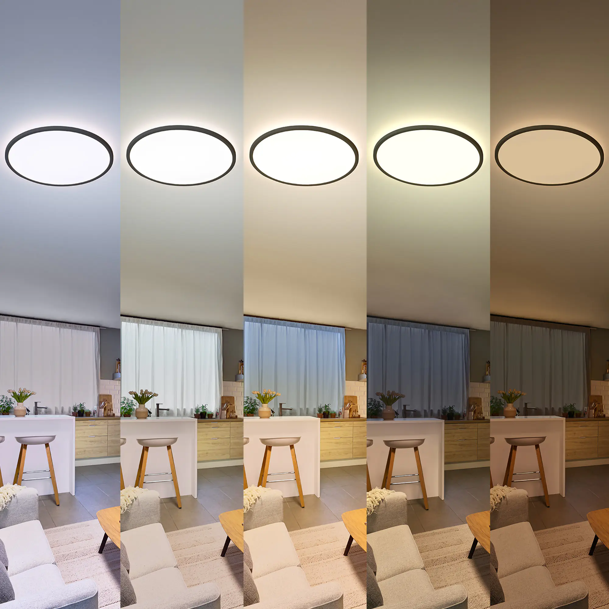 Philips LED Deckenleuchte Valen schwarz Ø 42 x 2 cm warmweiß-kaltweiß dimmbar