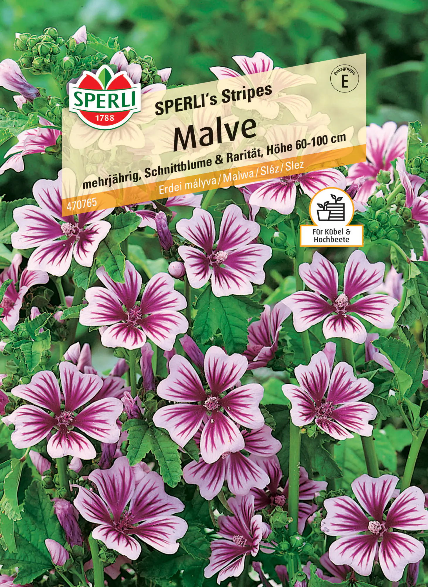 Sperli Malve SPERLI's Stripes