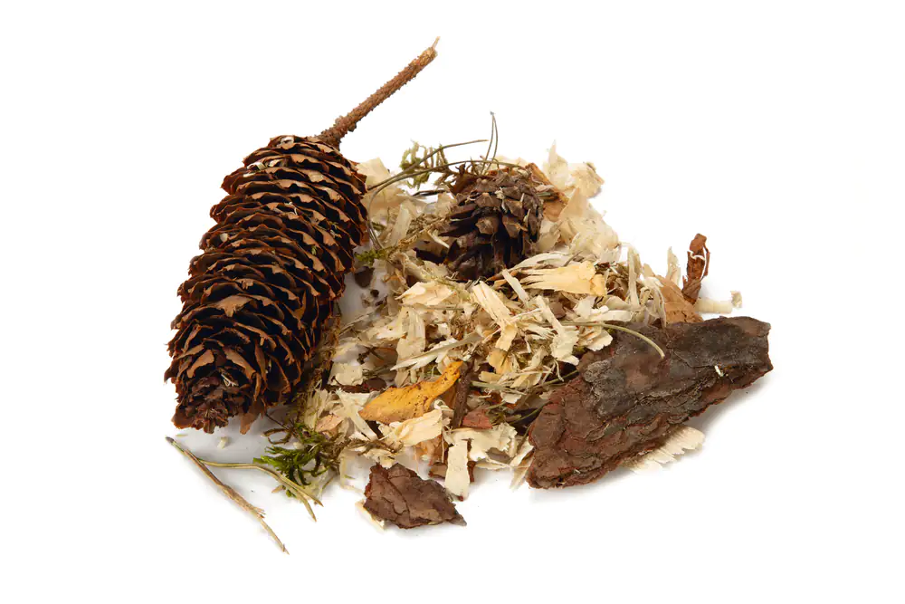 Beeztees Nagerstreu Forest 800 g