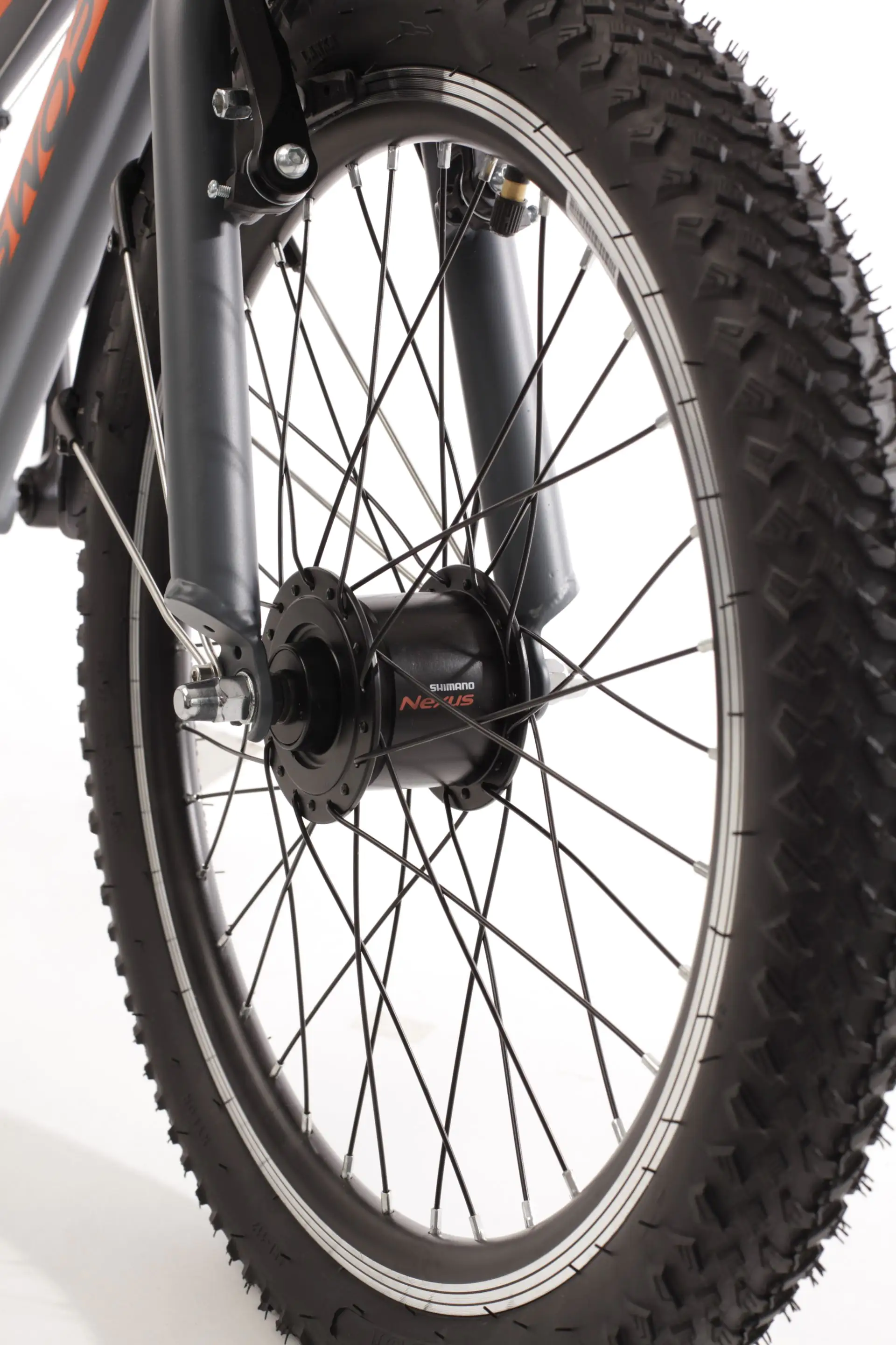 Bachtenkirch Jugendfahrrad SWOP 20 Zoll matt-grau