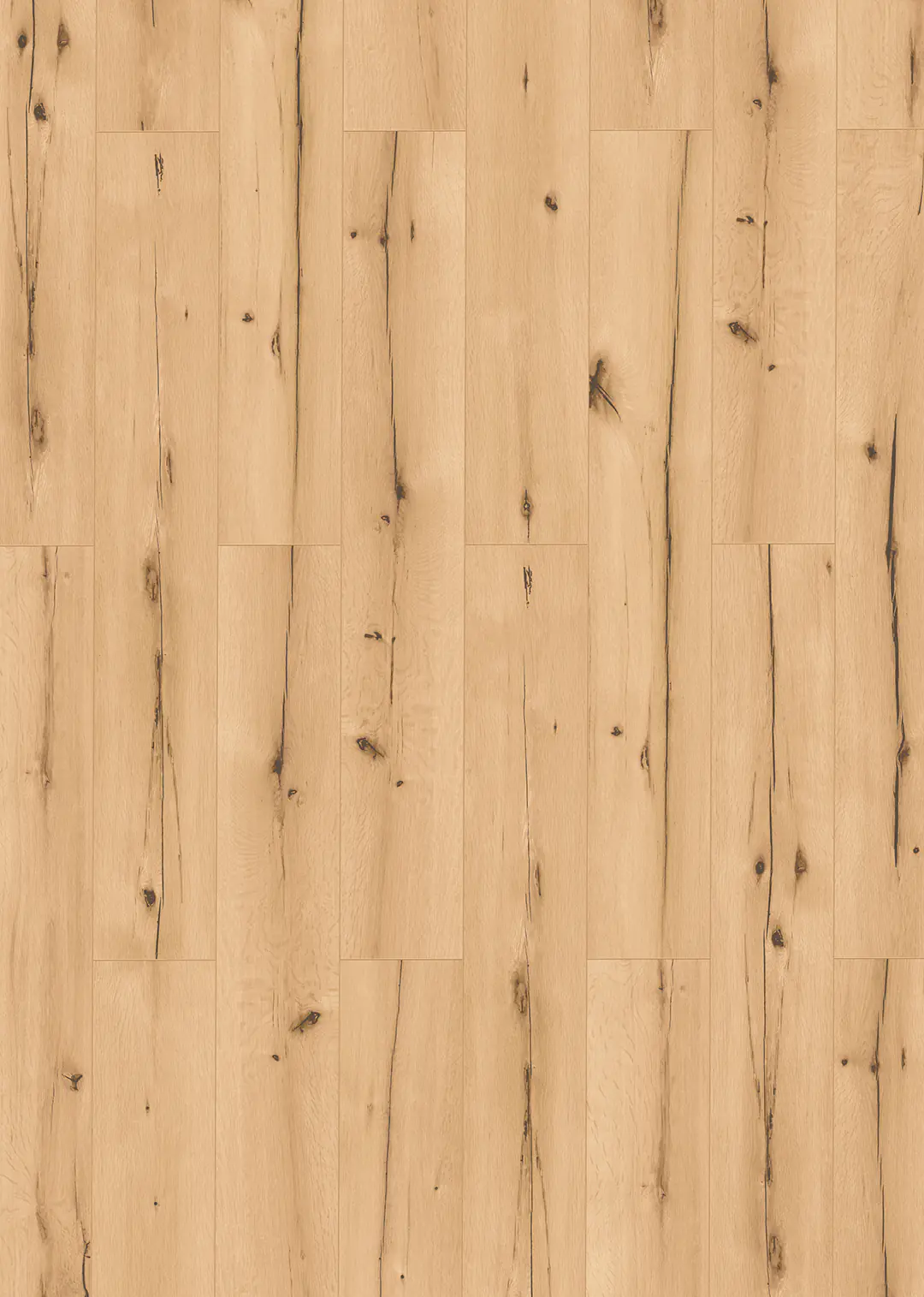 Classen Laminat edition 7+2 mit Trittschalldämmung Eiche Burnell