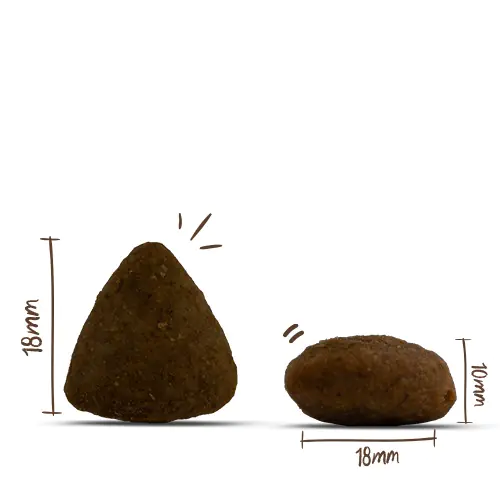 Bosch Menue Adult Hundetrockenfutter Lachs 1 kg