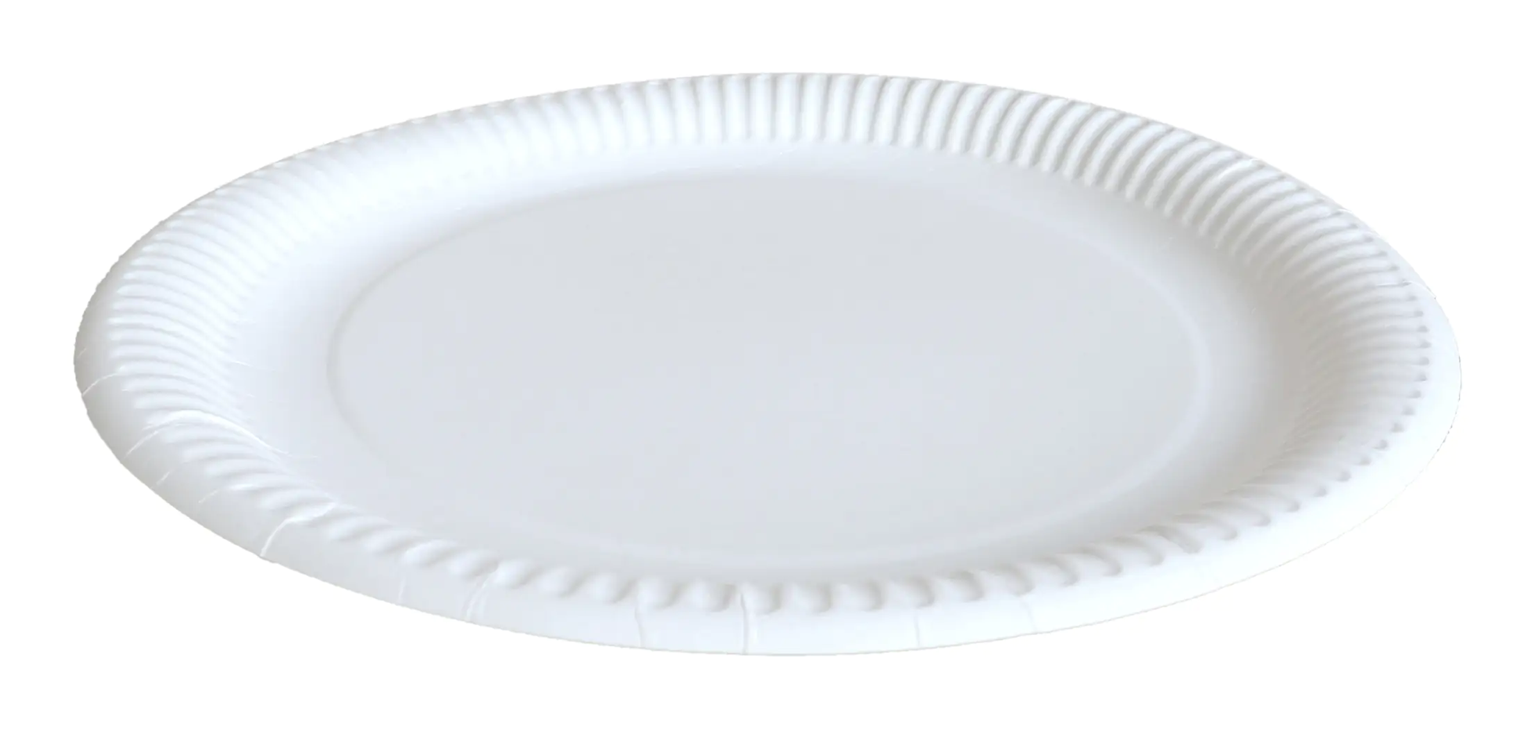 Braun & Company Pappteller By Nature Ø 29 cm 10 Stück