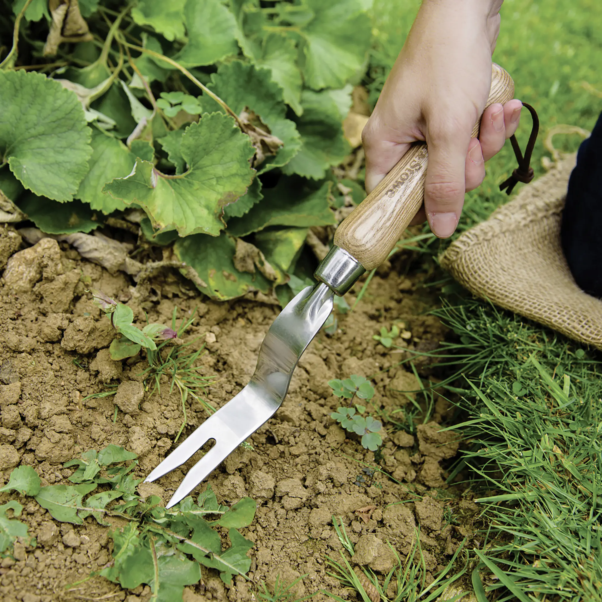 Kent & Stowe Wurzelstecher