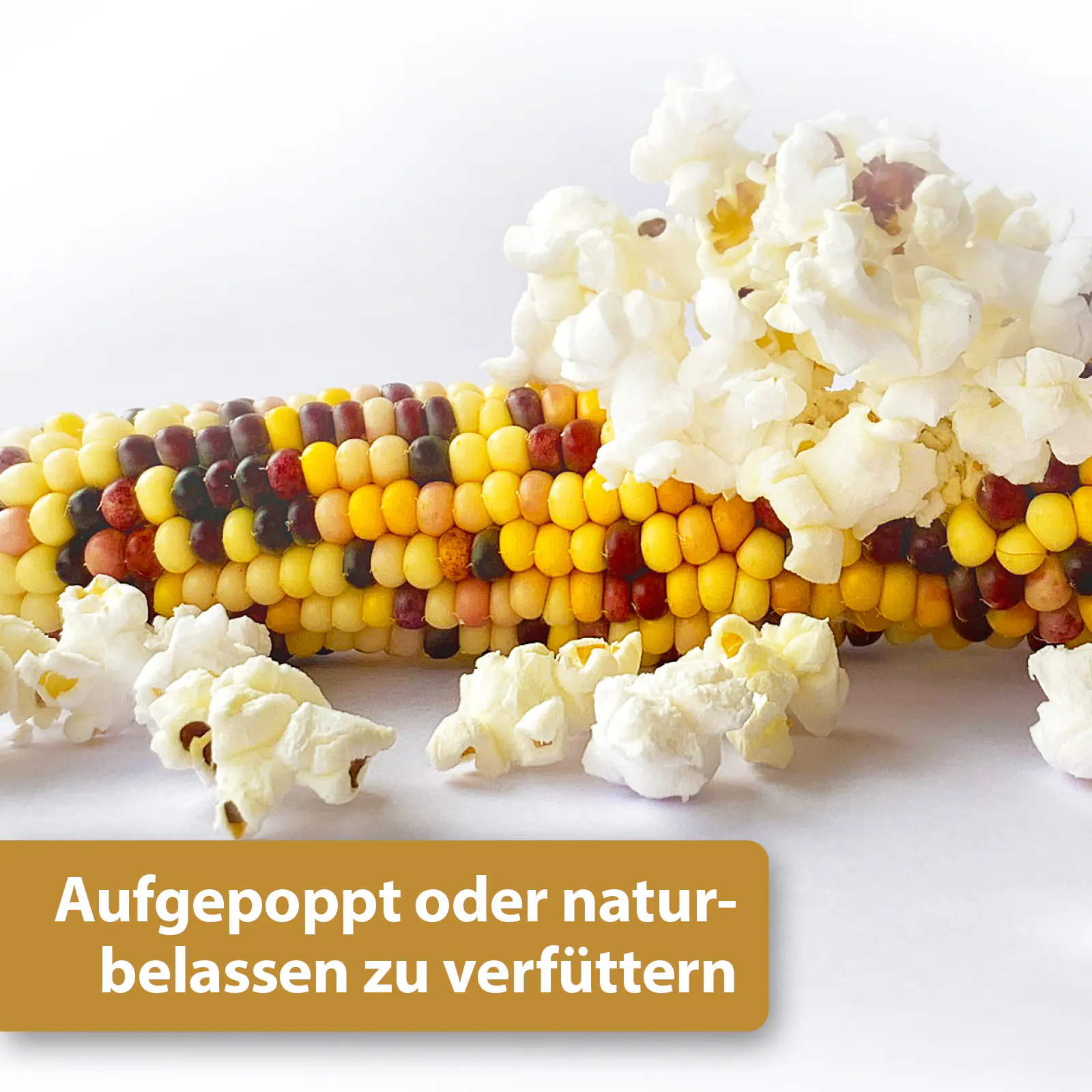 Quiko Hobbyfarming Mini Popcorn für Hühner und Geflügel 500 g