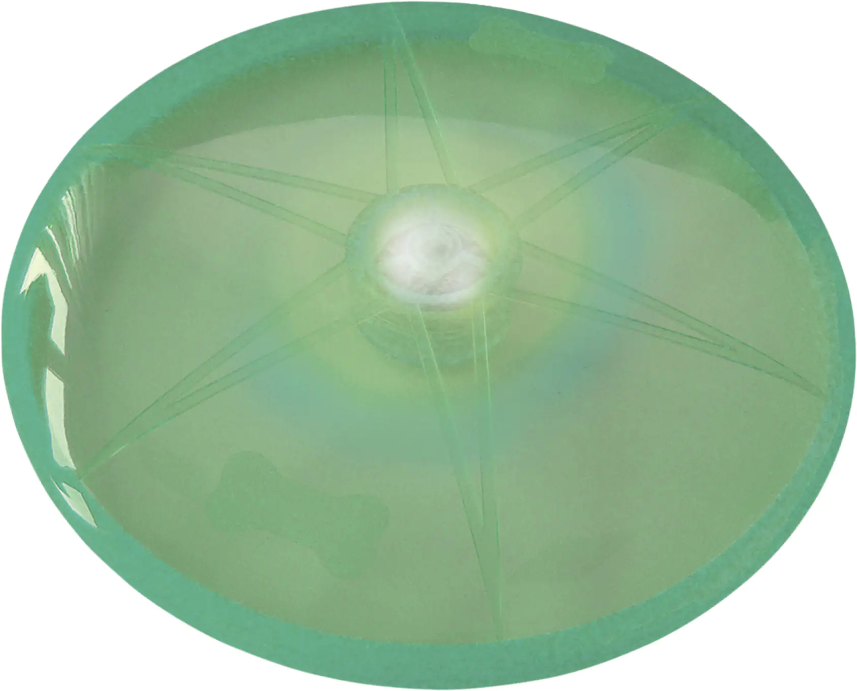 Nobby LED-Disc FLASH grün Ø 15 cm Nobby LED-Disc FLASH grün Ø 15 cm