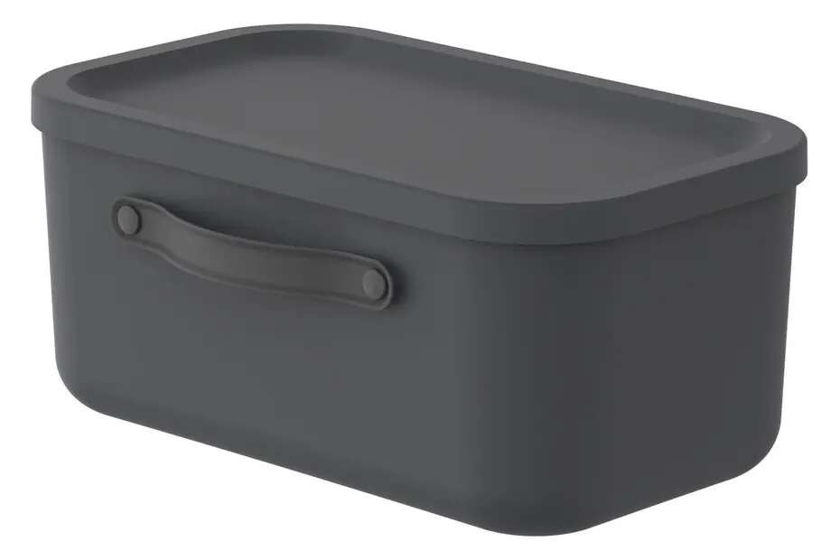 Rotho Aufbewahrungsbox Mythen mit Deckel 39,5 x 26,5 cm 12 L schwarz