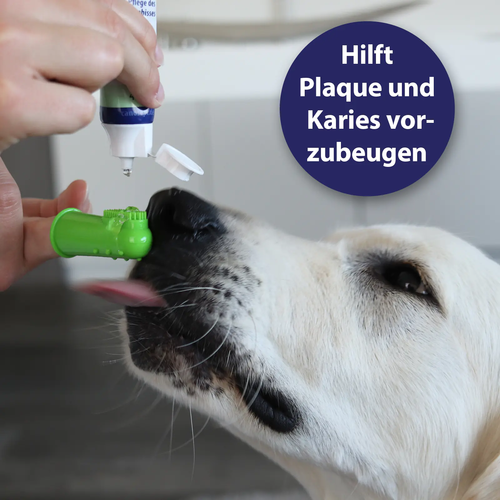 Canosept Zahnpflege Finger-Bürsten für Hunde 3 Stück Canosept Zahnpflege Finger-Bürsten für Hunde 3 Stück