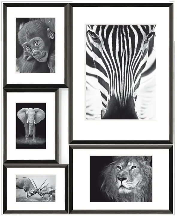 Bilderrahmen Collage Wild Africa 5 Fotos, 53 x 65 cm