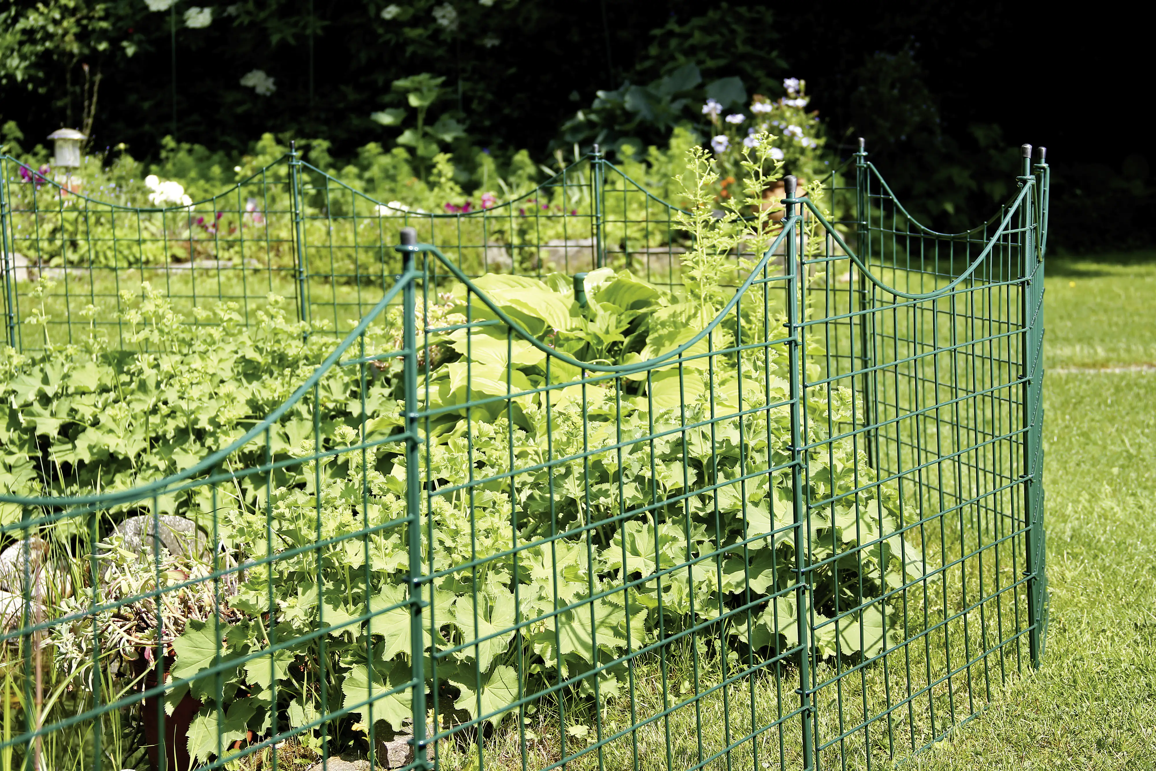 Alberts Teich-Zaunfeld Bogen mittig unten 77,7 x 66,5 cm grün