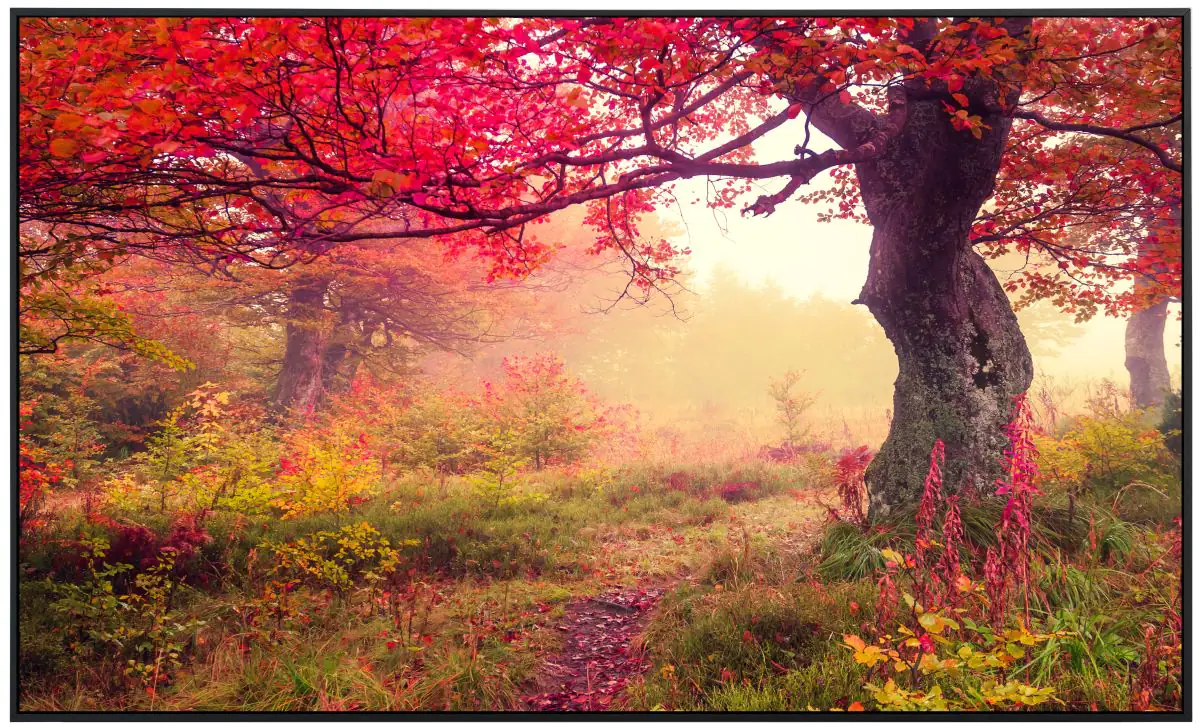 papermoon Infrarotheizkörper EcoHeat 90x120 cm 1200 Watt, Herbstwald