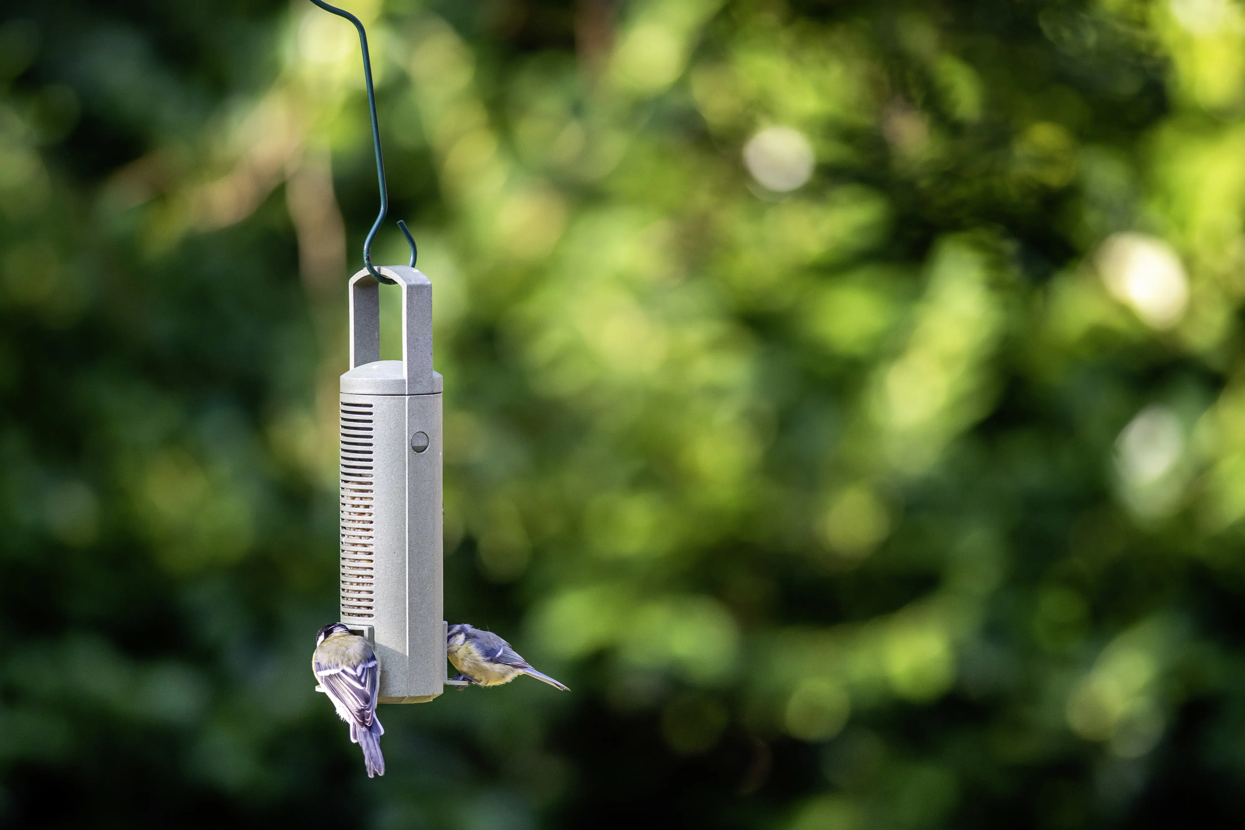 CJ Wildbird Futtersäule für Wildvögel CJ Wildbird Futtersäule für Wildvögel