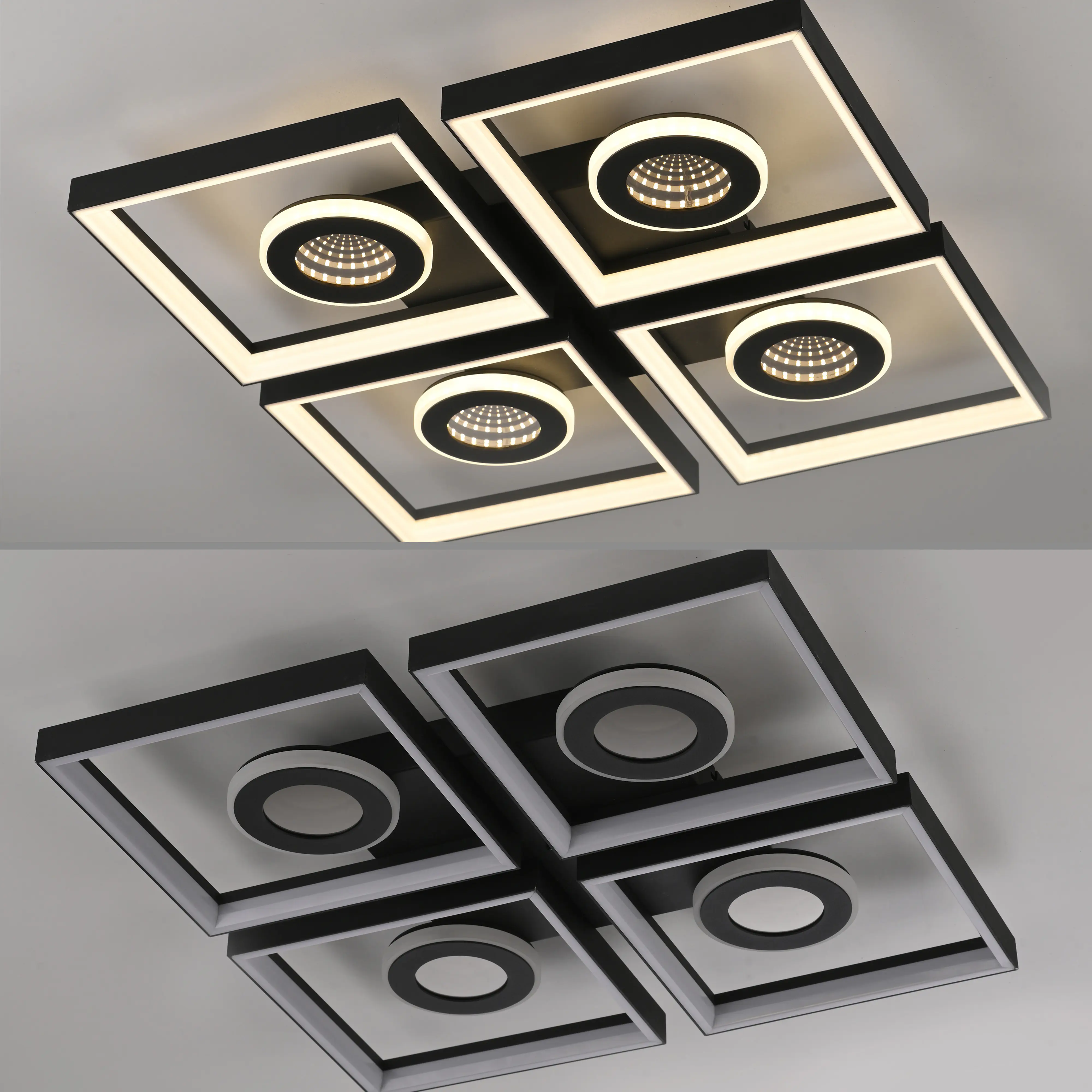 Paul Neuhaus LED Deckenleuchte Traforo 53 cm warmweiß-kaltweiß dimmbar Paul Neuhaus LED Deckenleuchte Traforo 53 cm warmweiß-kaltweiß dimmbar