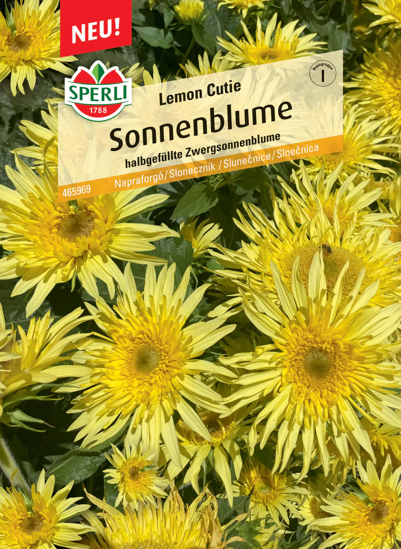 Sperli Sonnenblume Lemon Cutie Sperli Sonnenblume Lemon Cutie