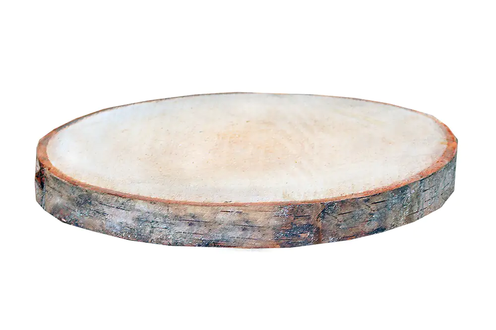 4260546685178 Birkenholzscheiben rund 100% Natur 30-40 cm ø