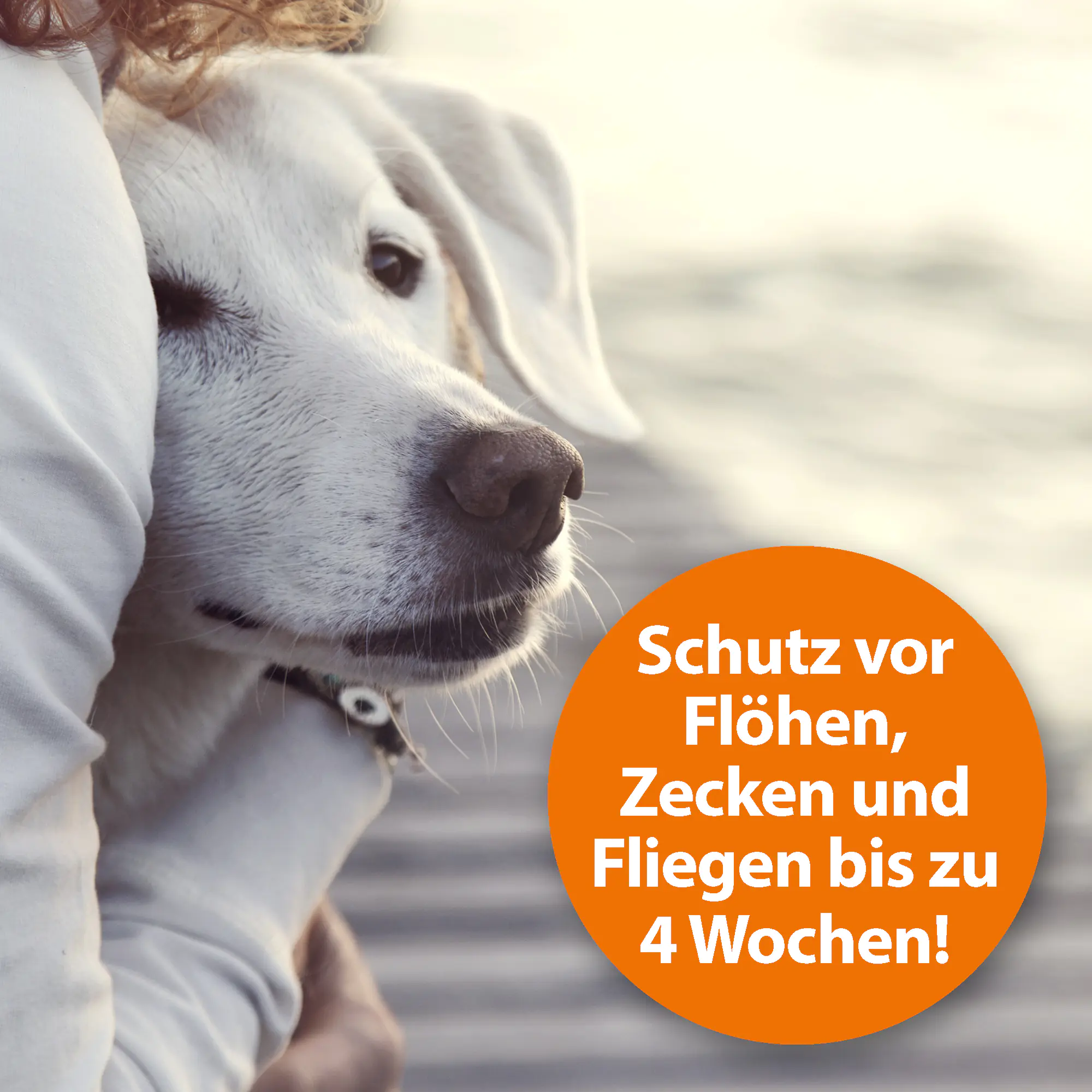 ARDAP Flohspray für Tiere 250 ml ARDAP Flohspray für Tiere 250 ml