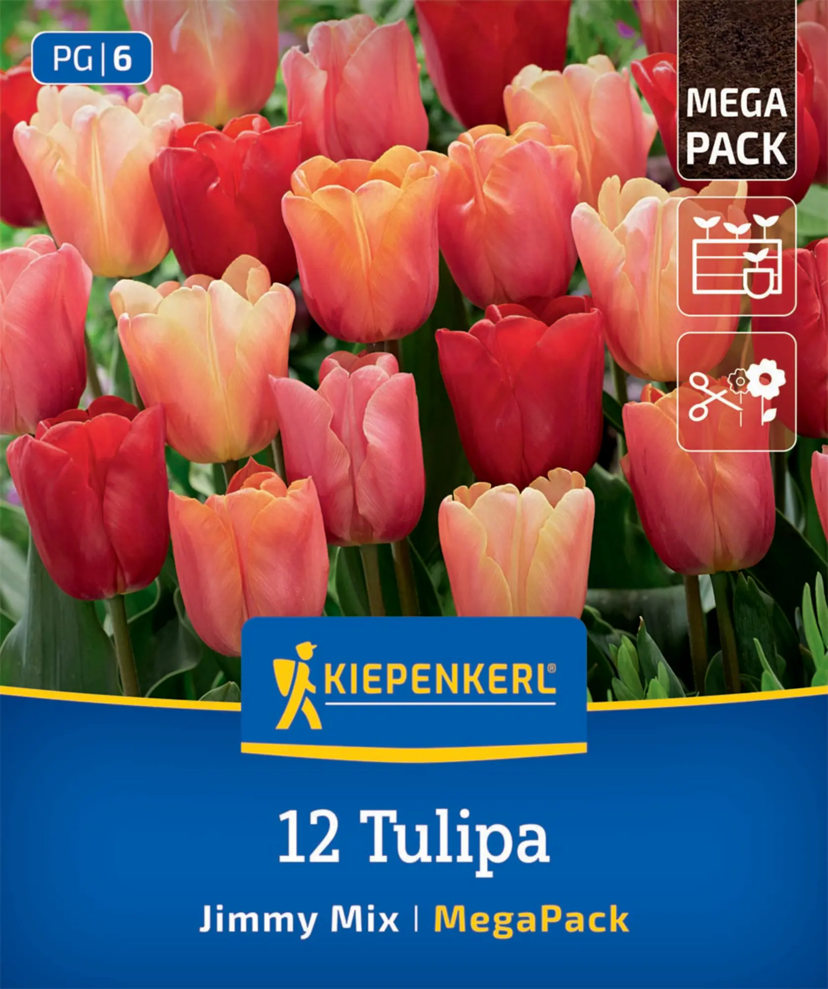 Kiepenkerl Herbstblumenzwiebel Tulpen Jimmy Mix 12 Stück