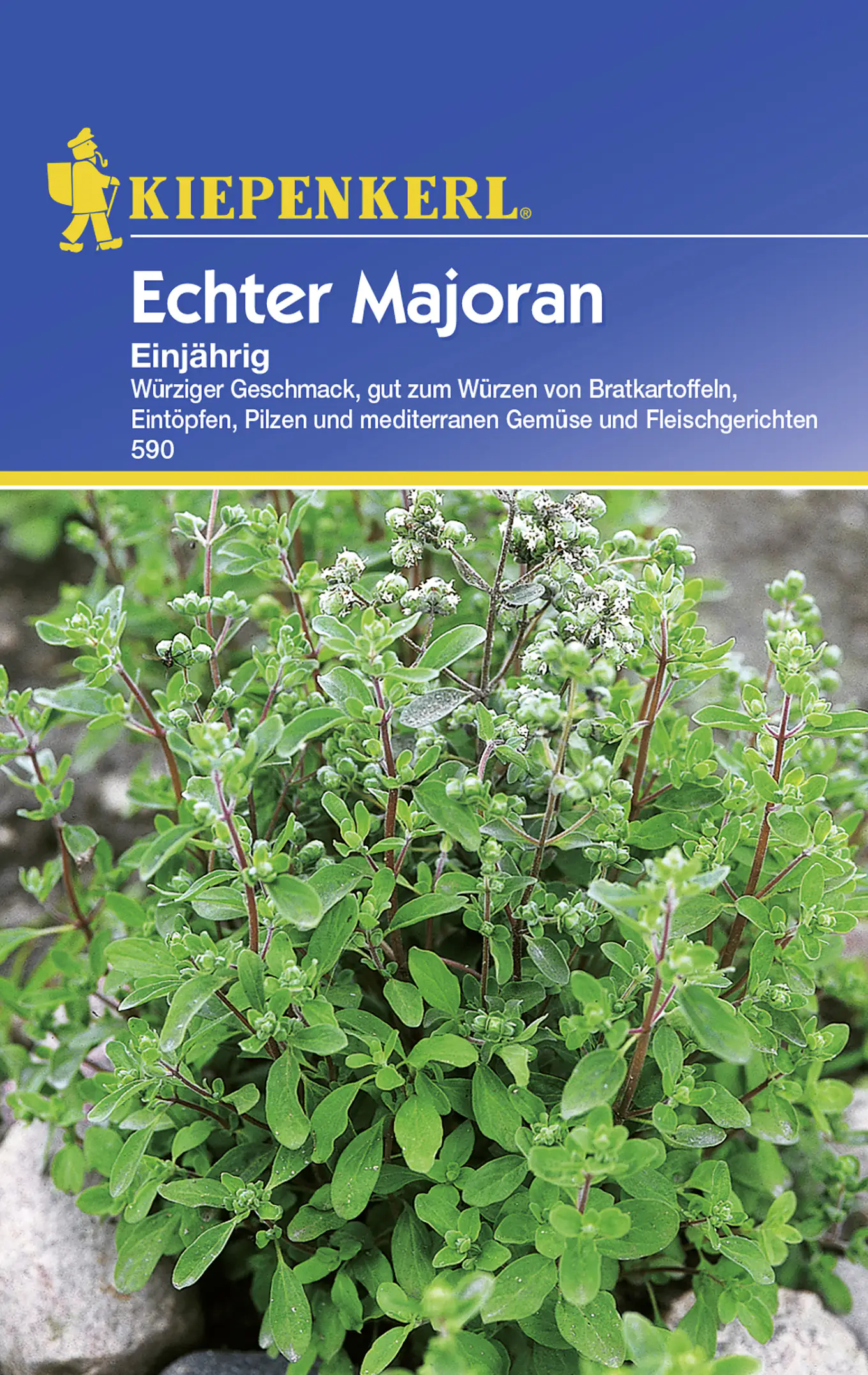 Kiepenkerl Majoran Majoran einjährig Origanum majorana, Inhalt: ca. 150 Pflanzen Kiepenkerl Majoran Majoran einjährig Origanum majorana, Inhalt: ca. 150 Pflanzen
