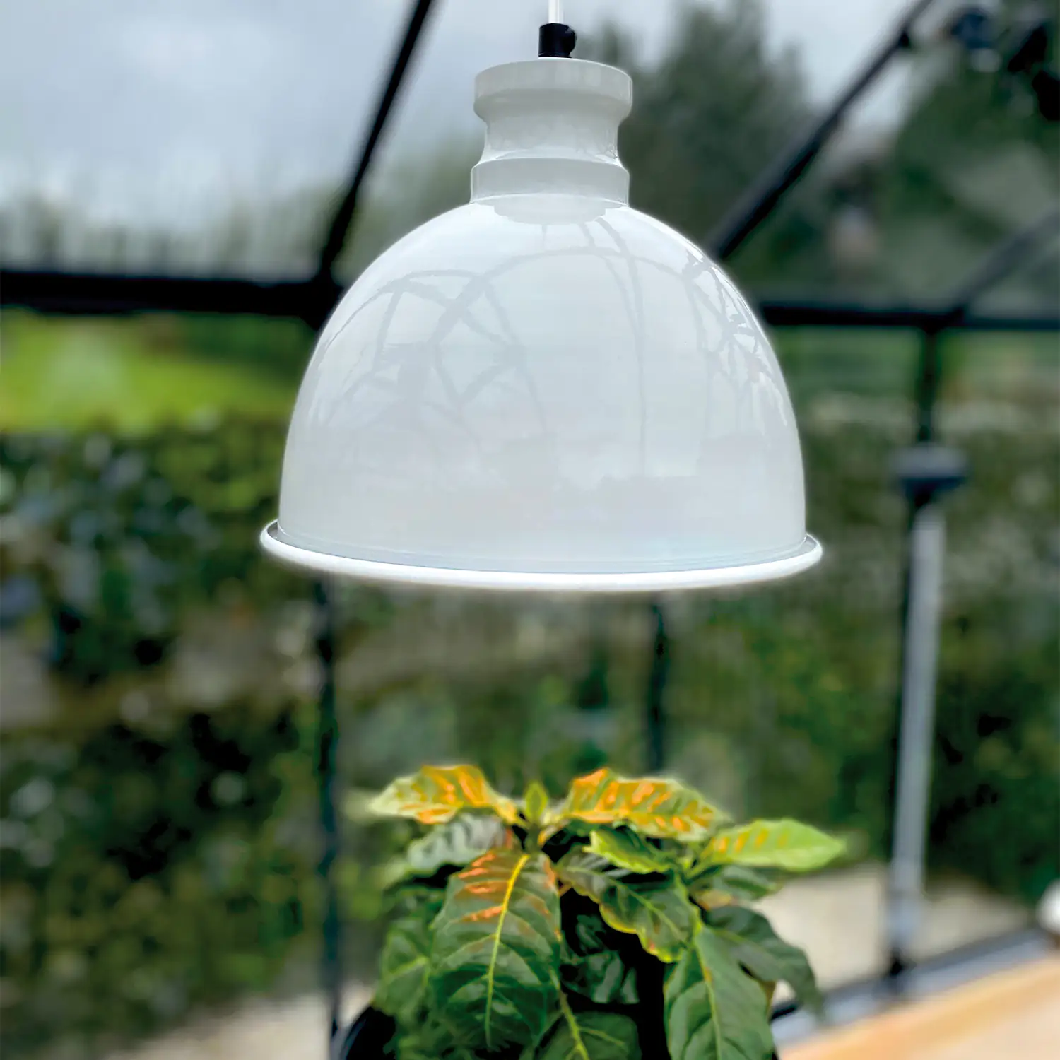 Bio Green Pflanzenleuchte Florabooster 500 W 6,5 W weiß Bio Green Pflanzenleuchte Florabooster 500 W 6,5 W weiß