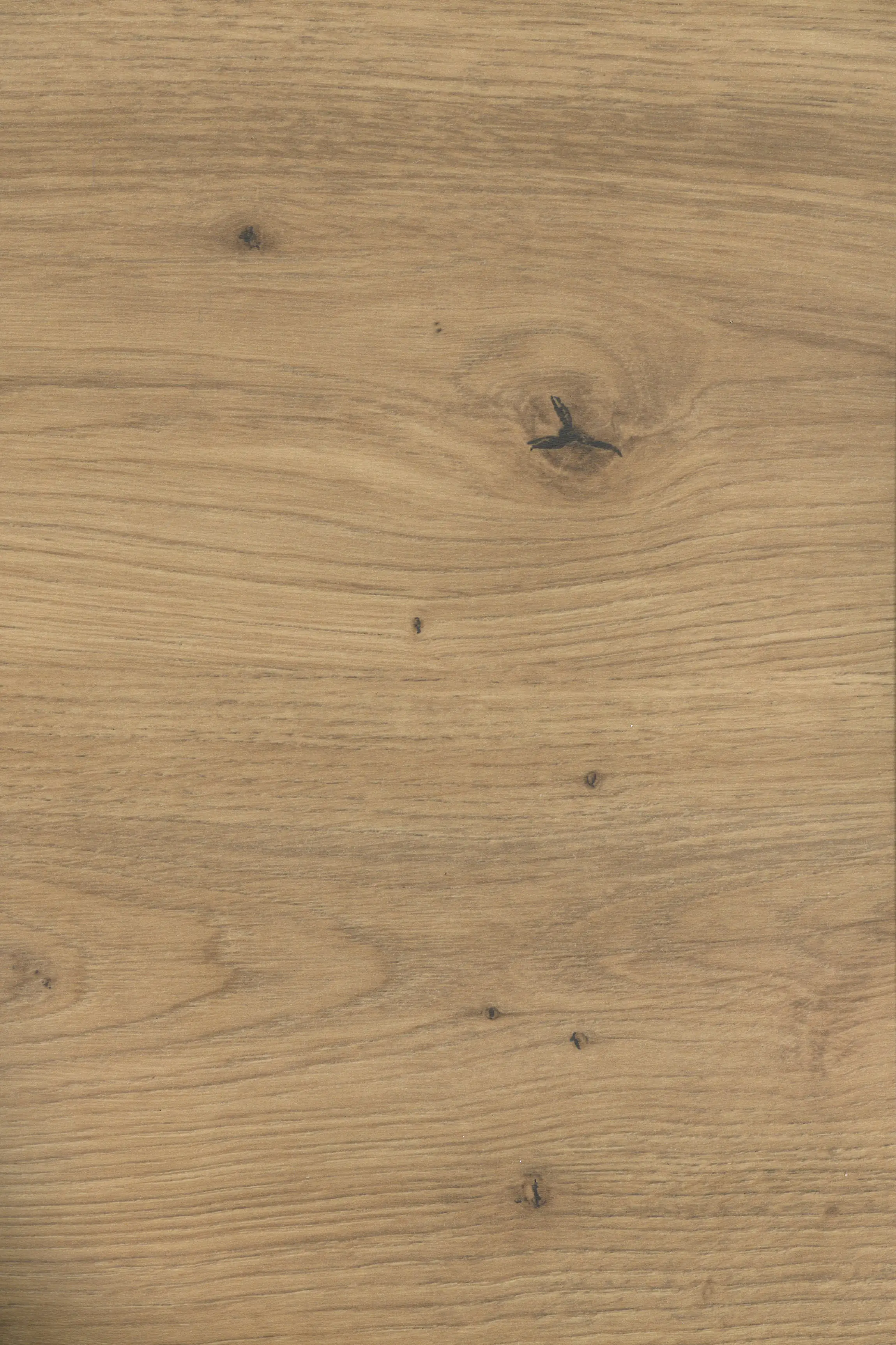 GetaElements Wandanschlußprofil Plus Ei793 artis eiche 59x2x3 cm