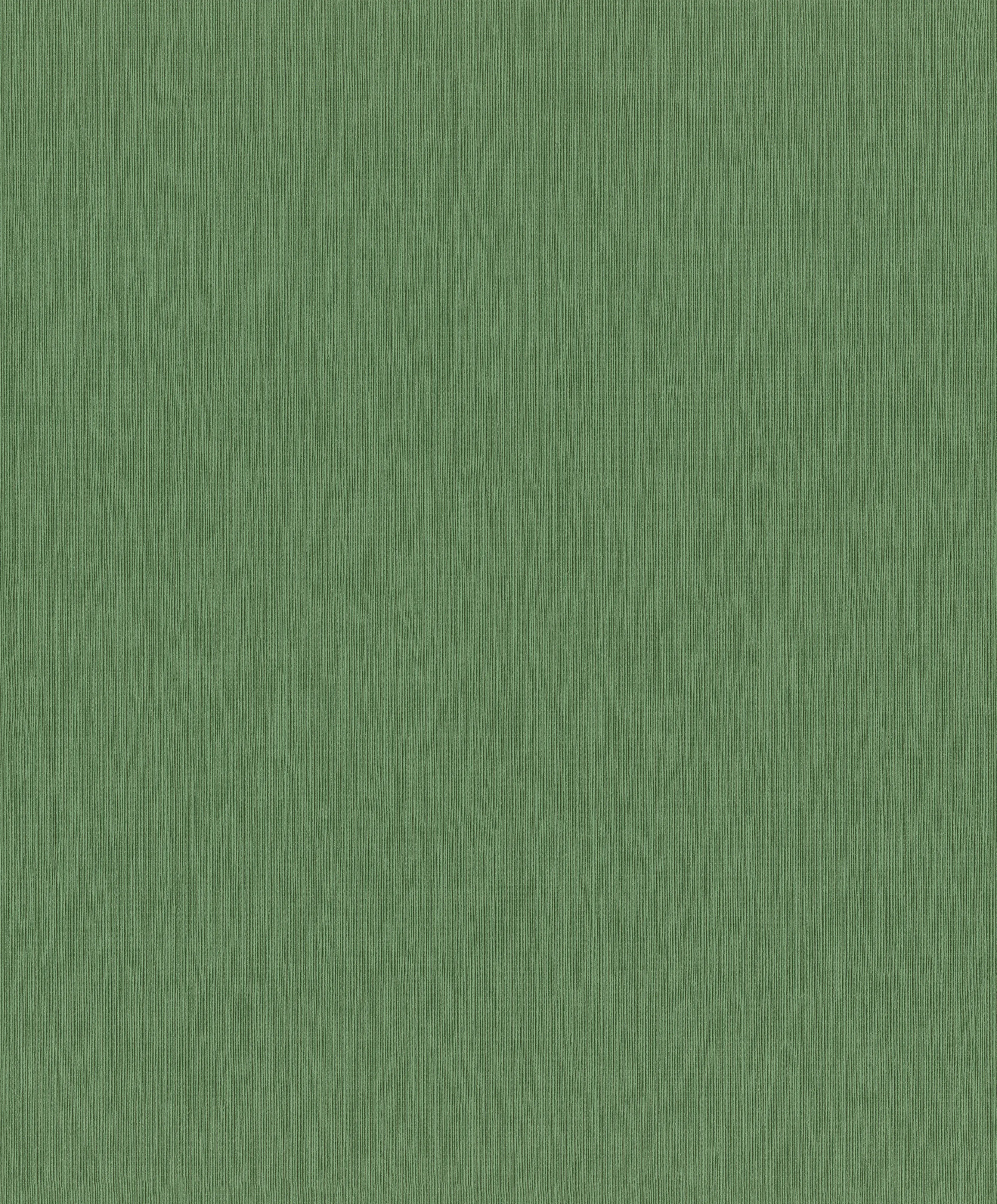 Rasch Vliestapete 537673 Grün-Mittelgrün Uni 10,05 m x 0,53 m