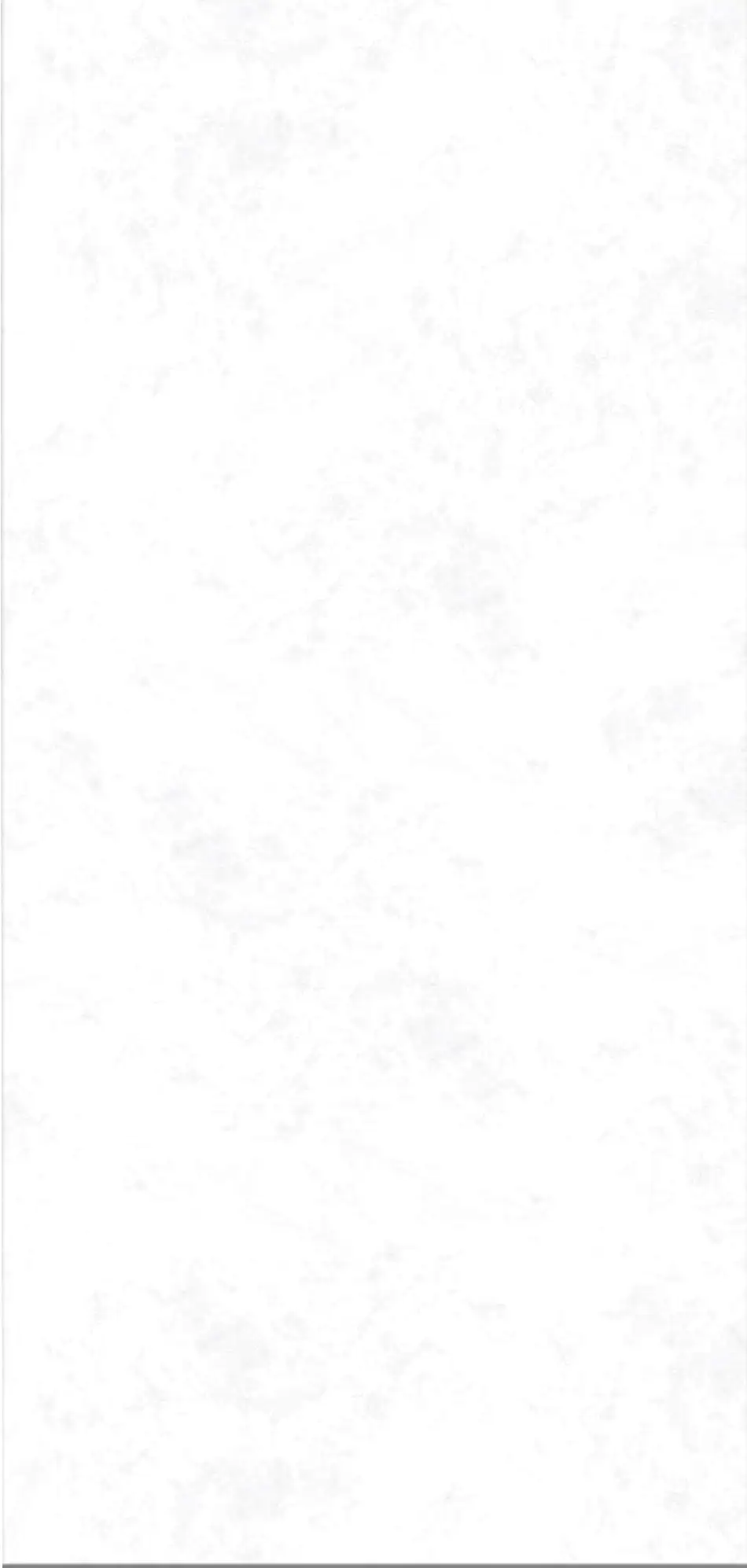 Breuer Duschrückwand Stein weiss Dekor 100 x 255 x 0,3 cm