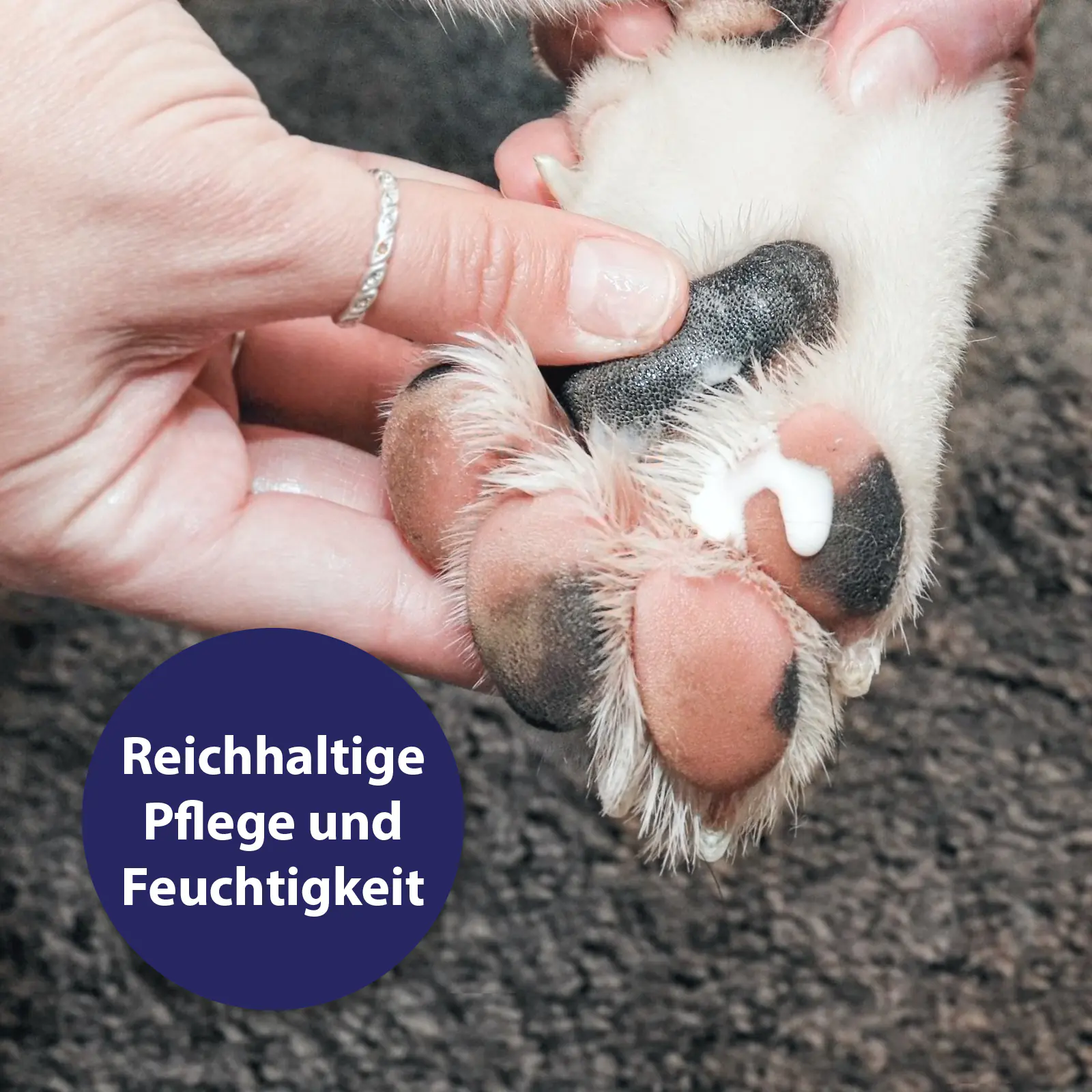 Canosept Pfotenpflege für Hunde 75 g Canosept Pfotenpflege für Hunde 75 g