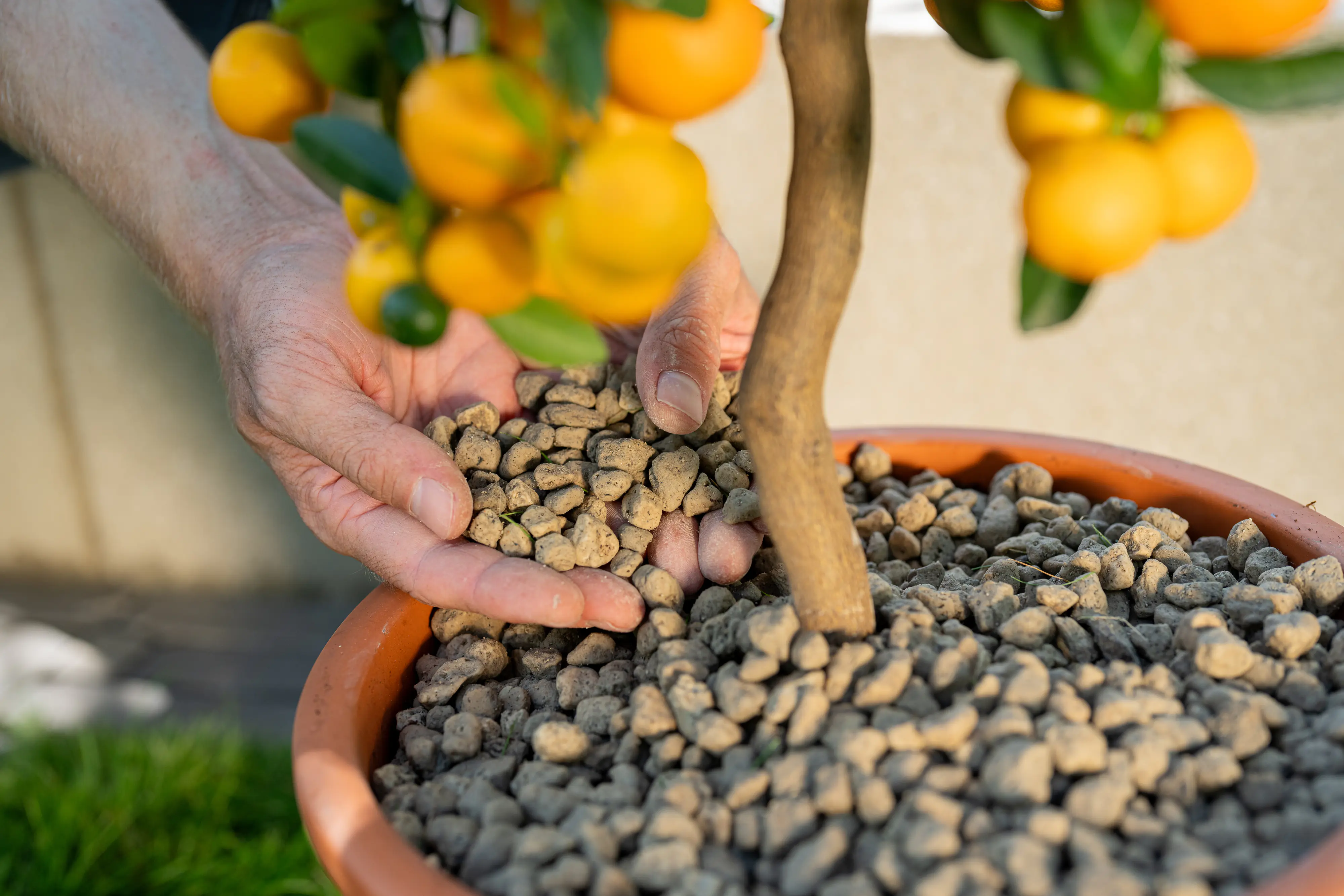 Floragard Bio Pflanzgranulat 8-16 mm 2 x 10 L Floragard Bio Pflanzgranulat 8-16 mm 2 x 10 L