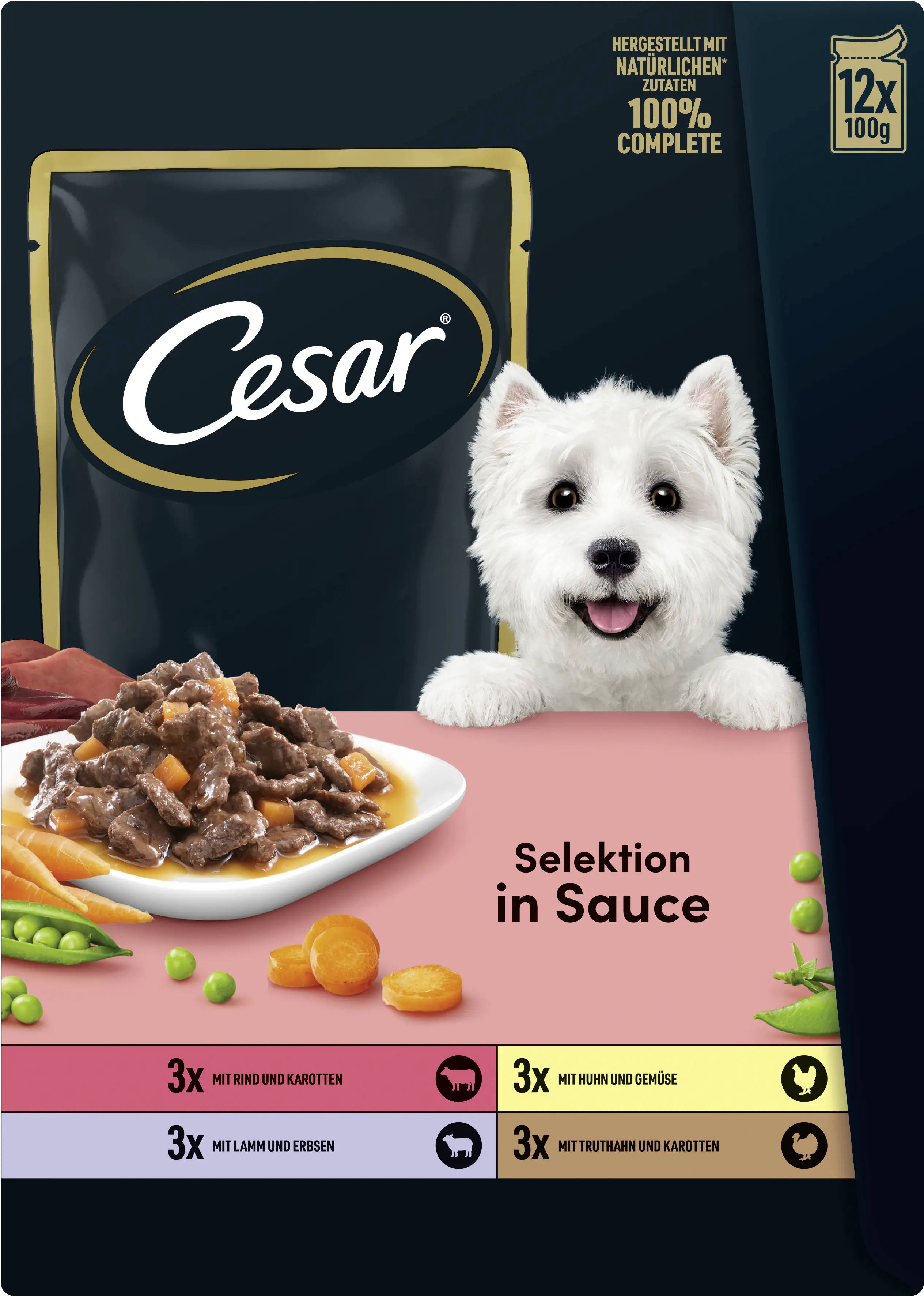Cesar Hundenassfutter Adut 12 x 100 g in Sauce mit Fleisch