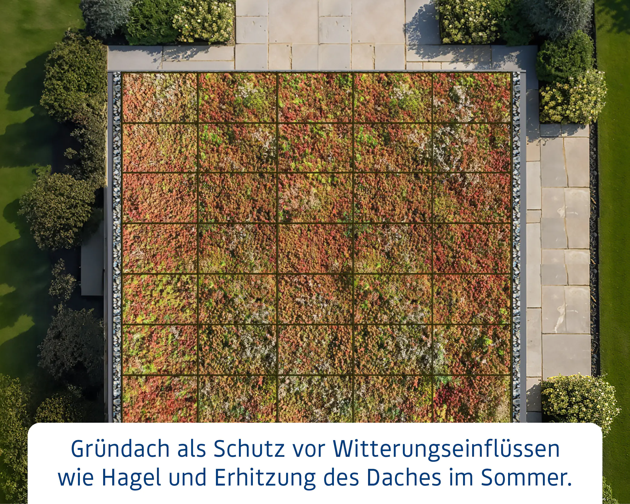 EcoStar Dachrahmen für Gründach Pultdach Typ 3 blau EcoStar Dachrahmen für Gründach Pultdach Typ 3 blau