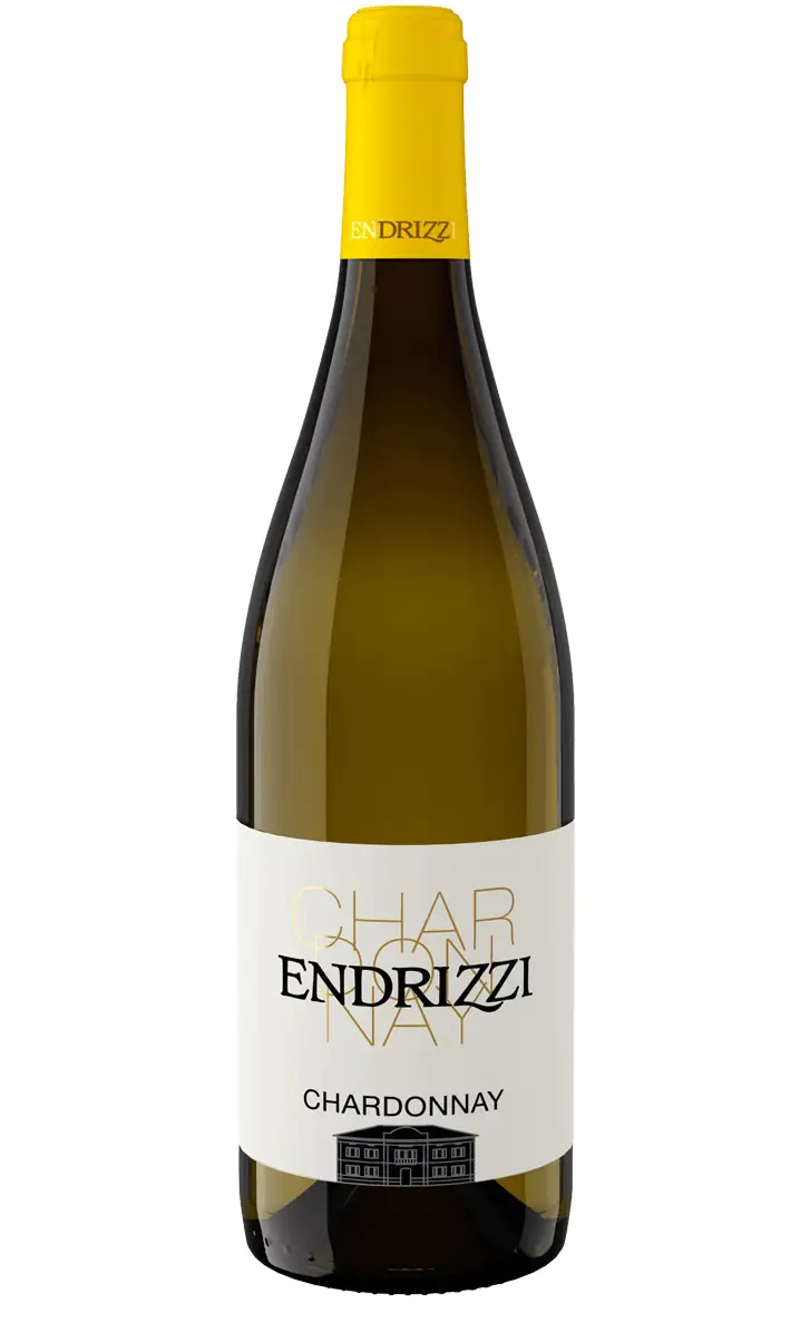 Endrizzi Weißwein Chardonnay fruchtig Italien 1 x 0,75 L