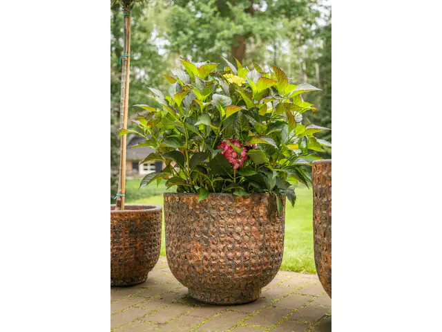 TrendLine Pflanztopf Maestro Rost Ø 33 x 30 cm braun-rostoptik TrendLine Pflanztopf Maestro Rost Ø 33 x 30 cm braun-rostoptik