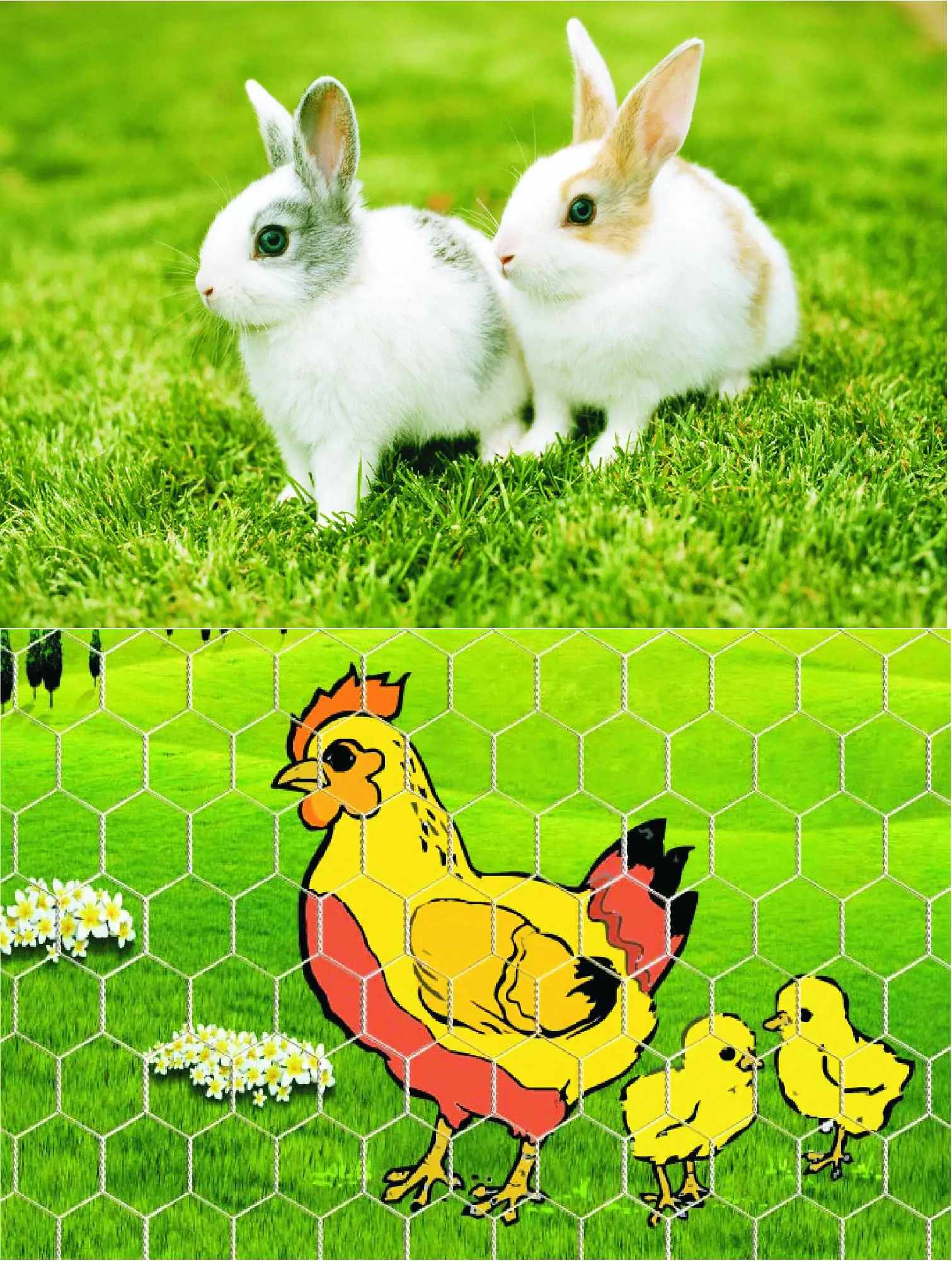 TrendLine Sechseckgeflecht 10 m 50 cm hoch, verzinkt