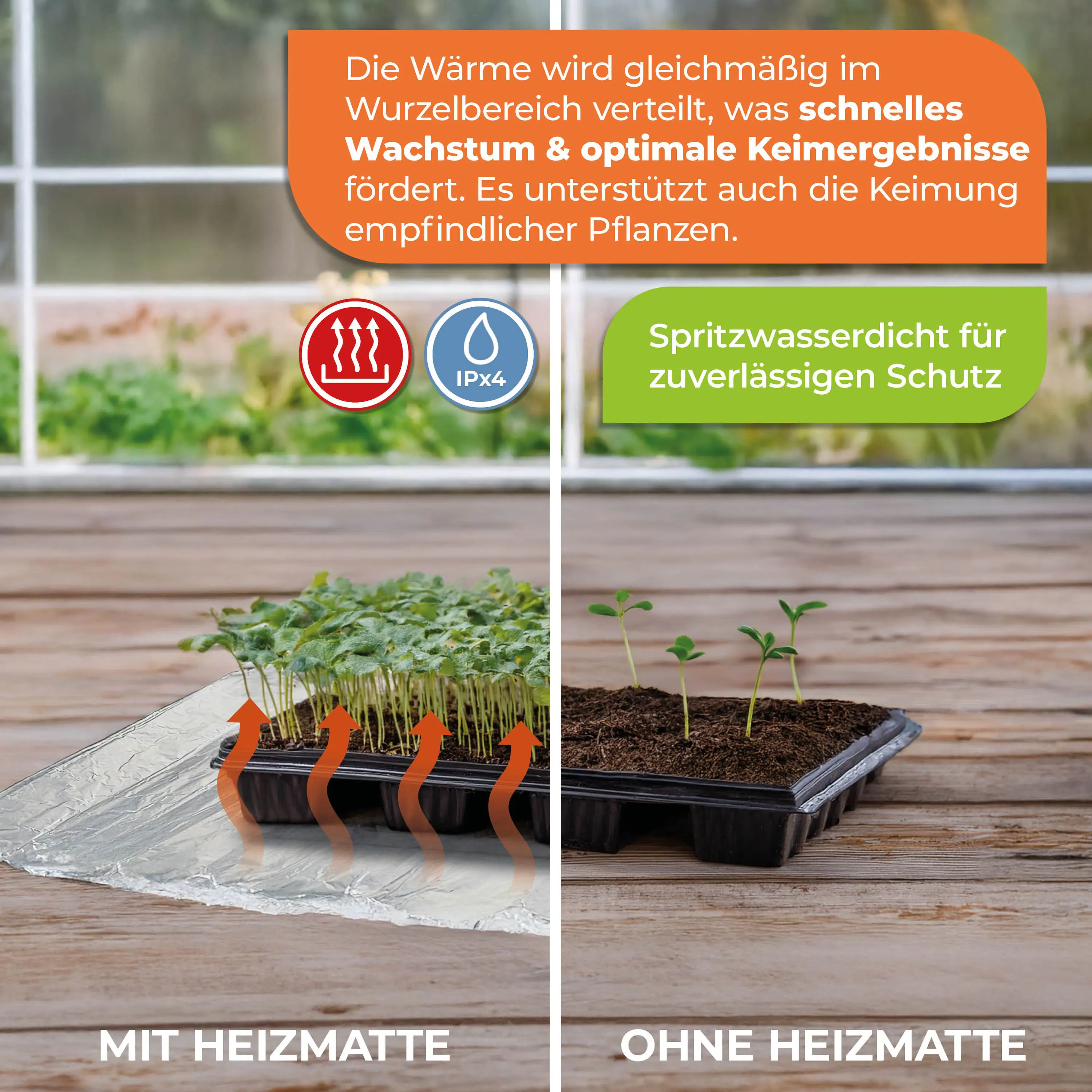 BioGreen Heizmatte als Anzuchtbooster für Pflanzen Sahara 100 x 100 cm 150 W inkl. Thermostat