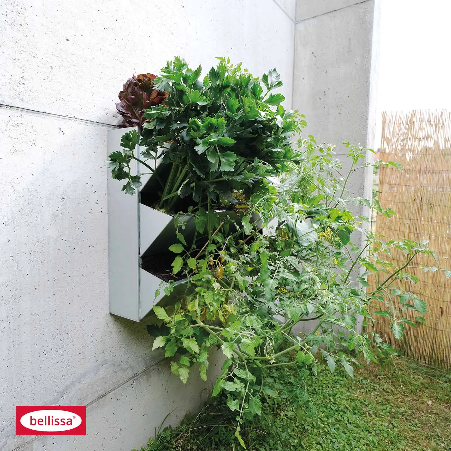Bellissa Wandgarten Inalto S3 -92 x 27 x 60 cm
