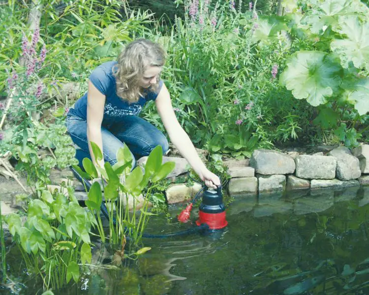 T.I.P. Klar-/ Schmutzwasser Tauchpumpe TVX 7000 l/h 5 m 300 Watt T.I.P. Klar-/ Schmutzwasser Tauchpumpe TVX 7000 l/h 5 m 300 Watt