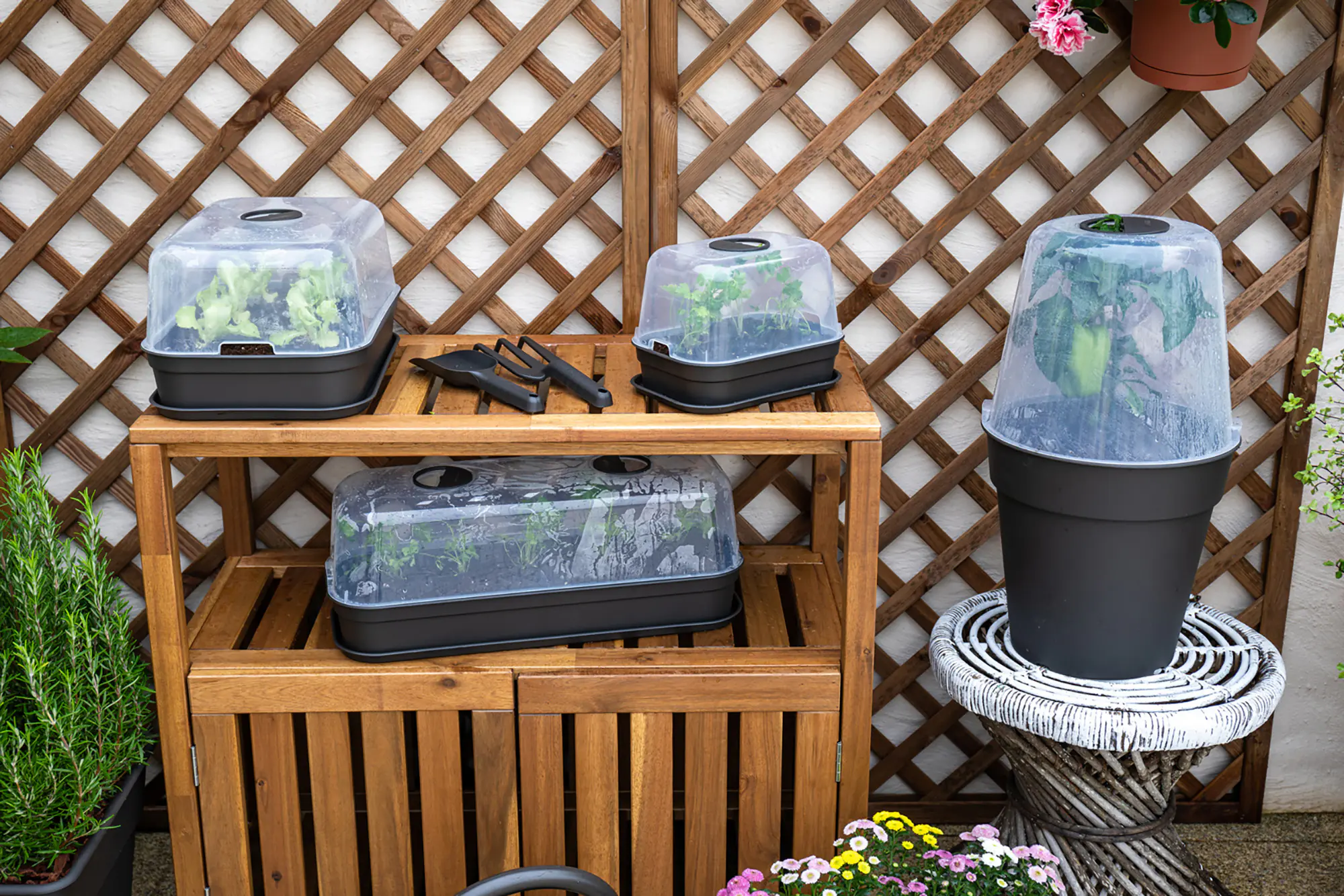 Artevasi Anzuchttopf Madagascar Kunststoff terrakotta Ø 40 x 39 cm 